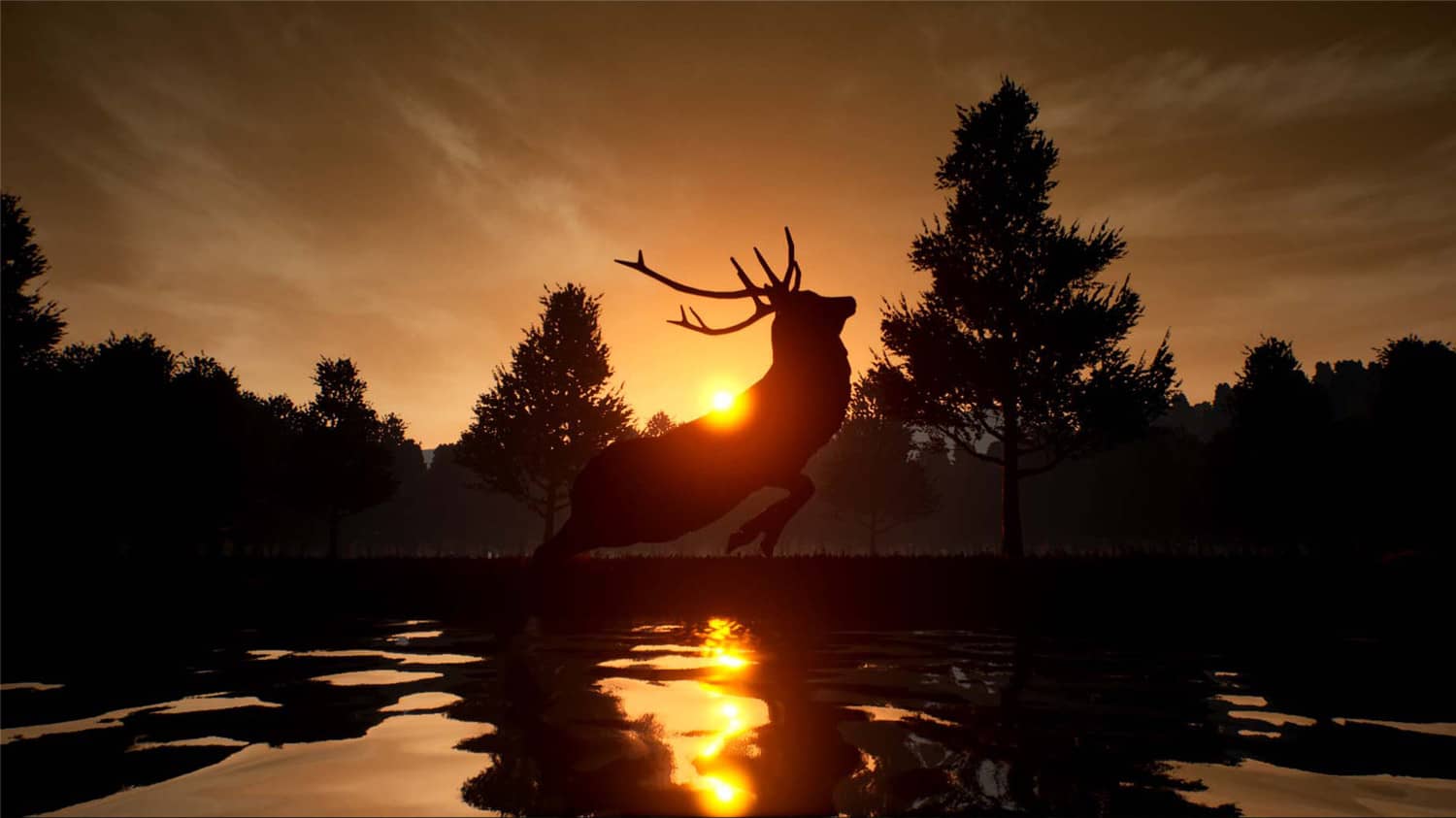 鹿之旅/Deer Journey-1