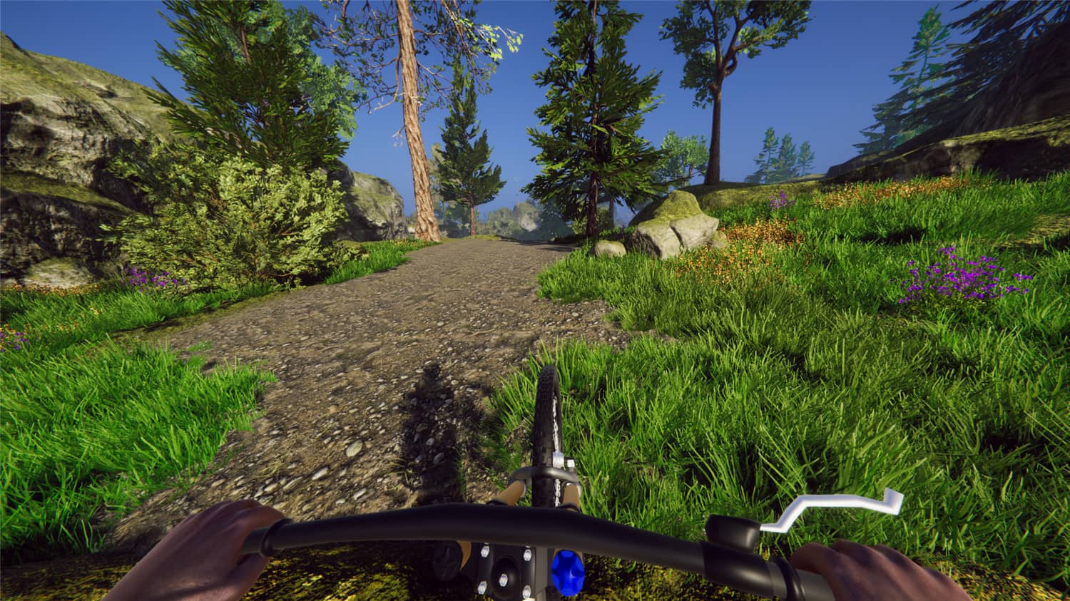 自行车骑手模拟器/Bicycle Rider Simulator-1