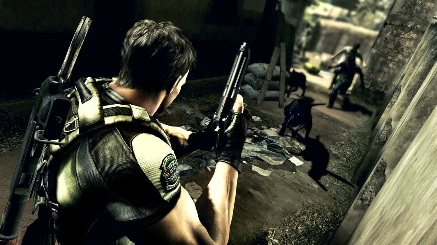 生化危机5：黄金版/Resident Evil 5：Gold Edition-5