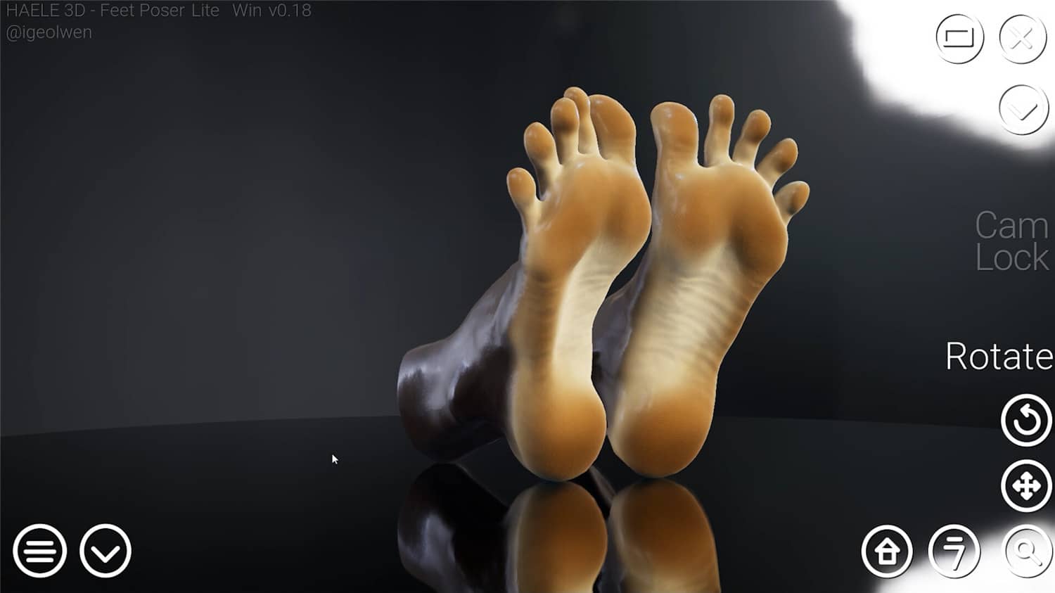 足部造型模拟器/HAELE 3D - Feet Poser Lite-2