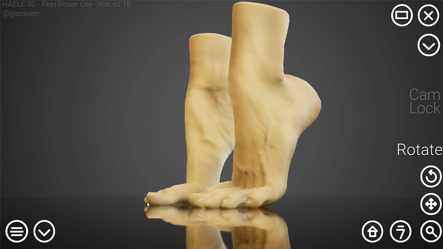 足部造型模拟器/HAELE 3D - Feet Poser Lite-1