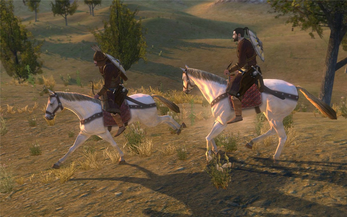 骑马与砍杀：战团/Mount & Blade: Warband-5
