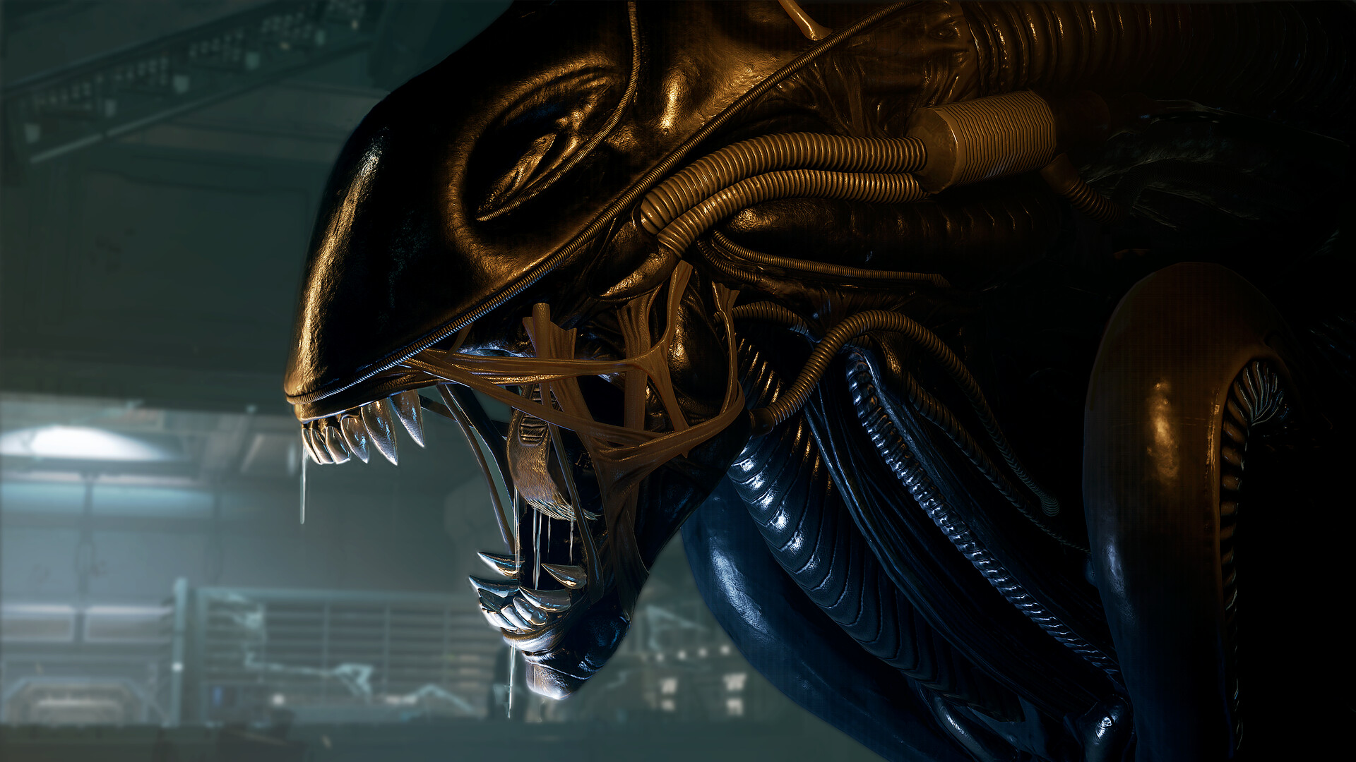异形：侠盗入侵/Alien: Rogue Incursion/支持VR-1