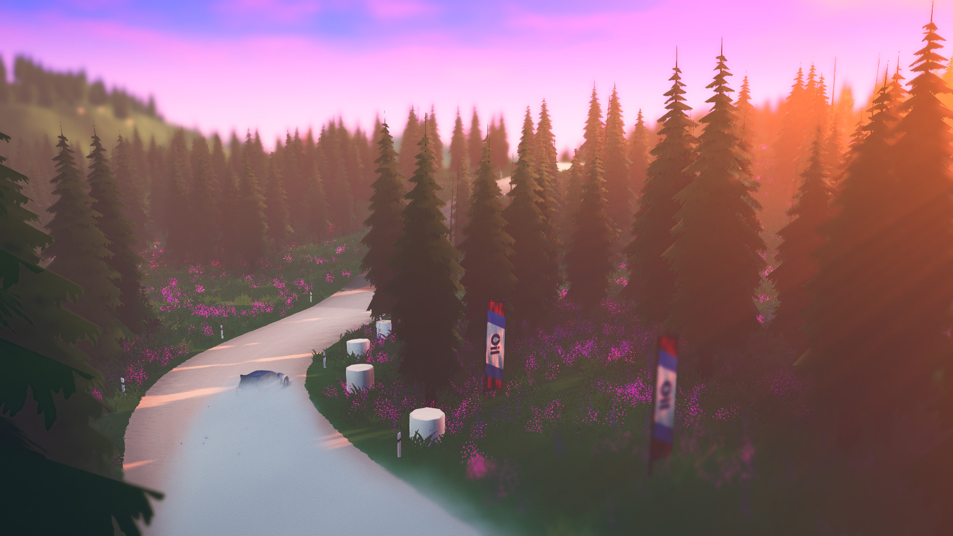 拉力赛艺术/art of rally-4