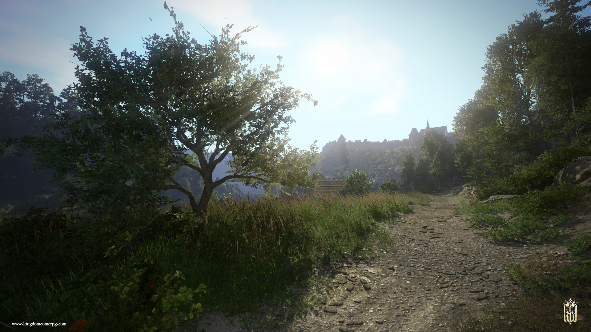 天国：拯救/Kingdom Come: Deliverance-8