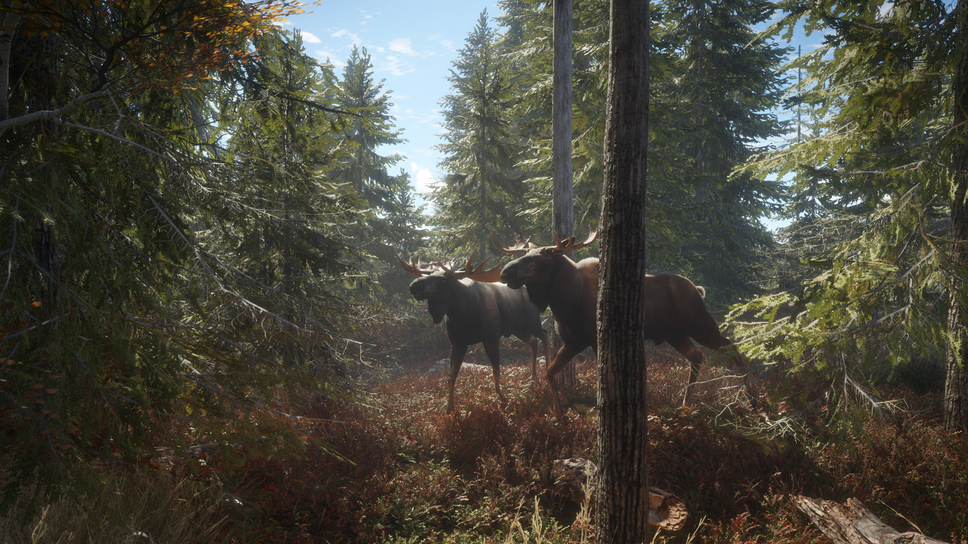 猎人：荒野的召唤/theHunter: Call of the Wild/支持网络联机-1