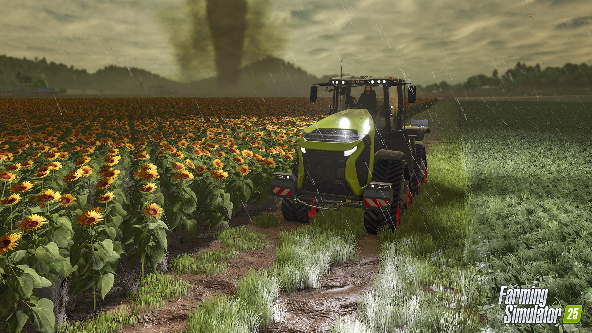 模拟农场25/Farming Simulator 25-3