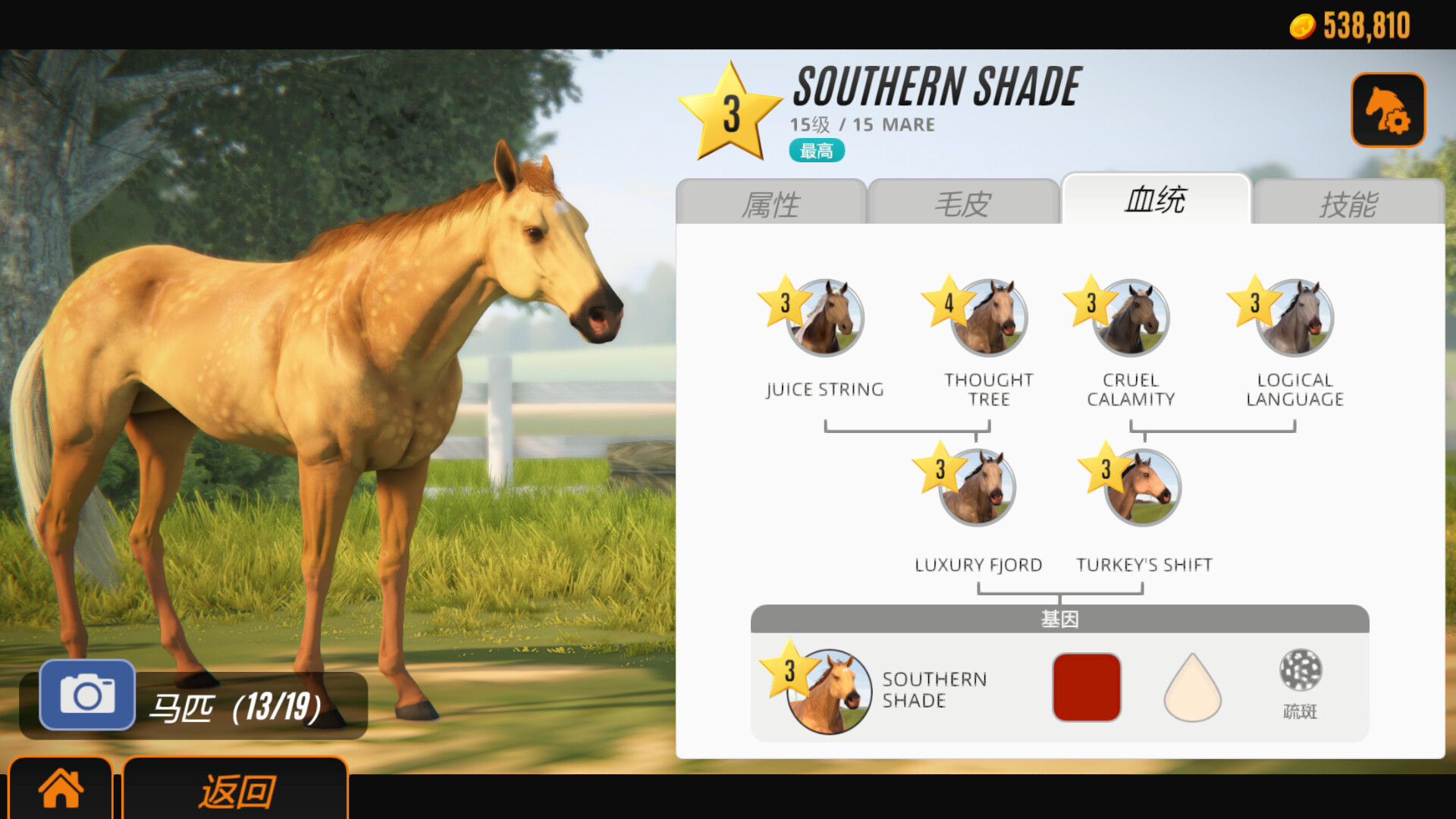 家族传奇：马匹养成竞技/Rival Stars Horse Racing: Desktop Edition-6