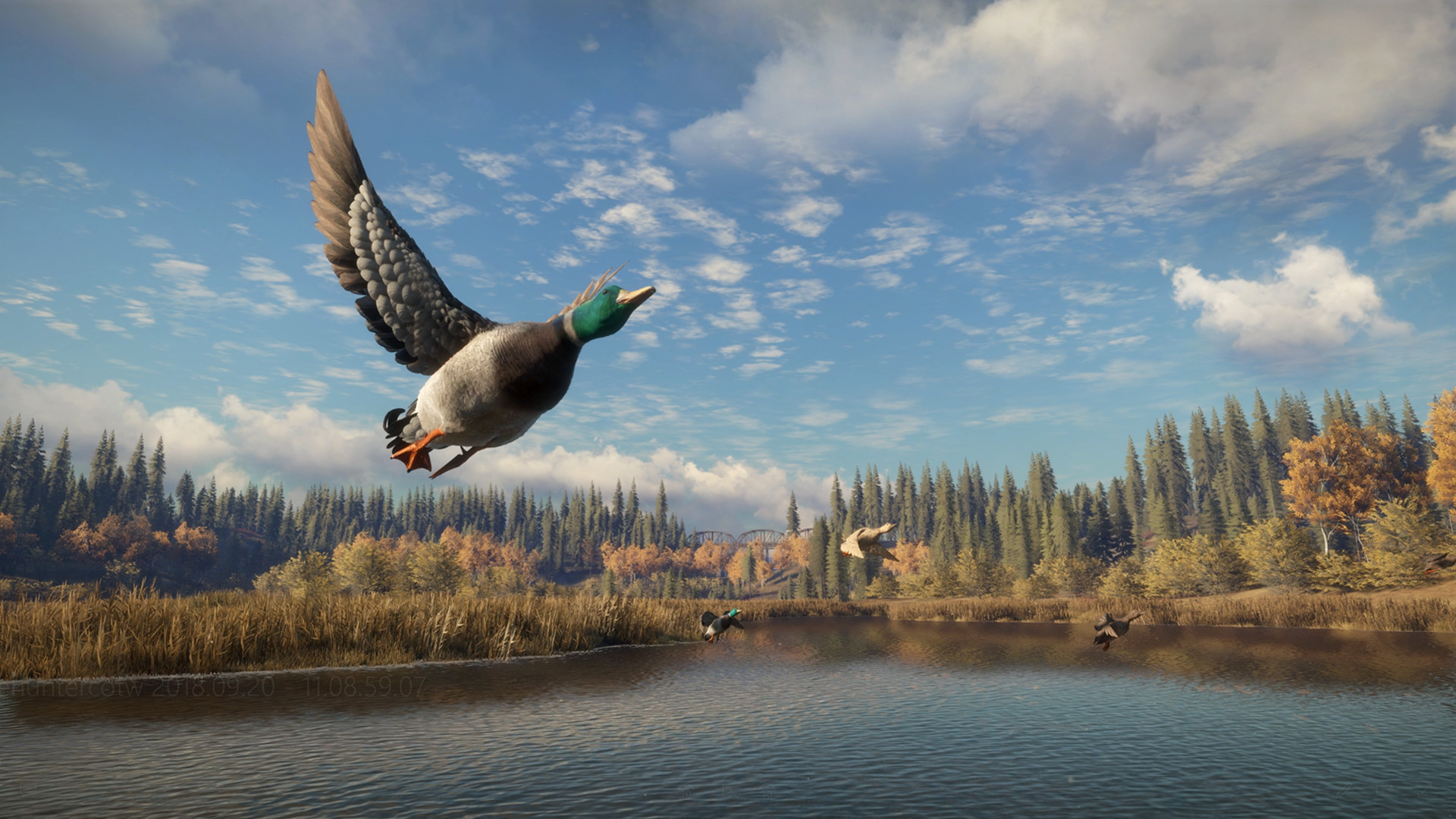 猎人：荒野的召唤/theHunter: Call of the Wild/支持网络联机-4