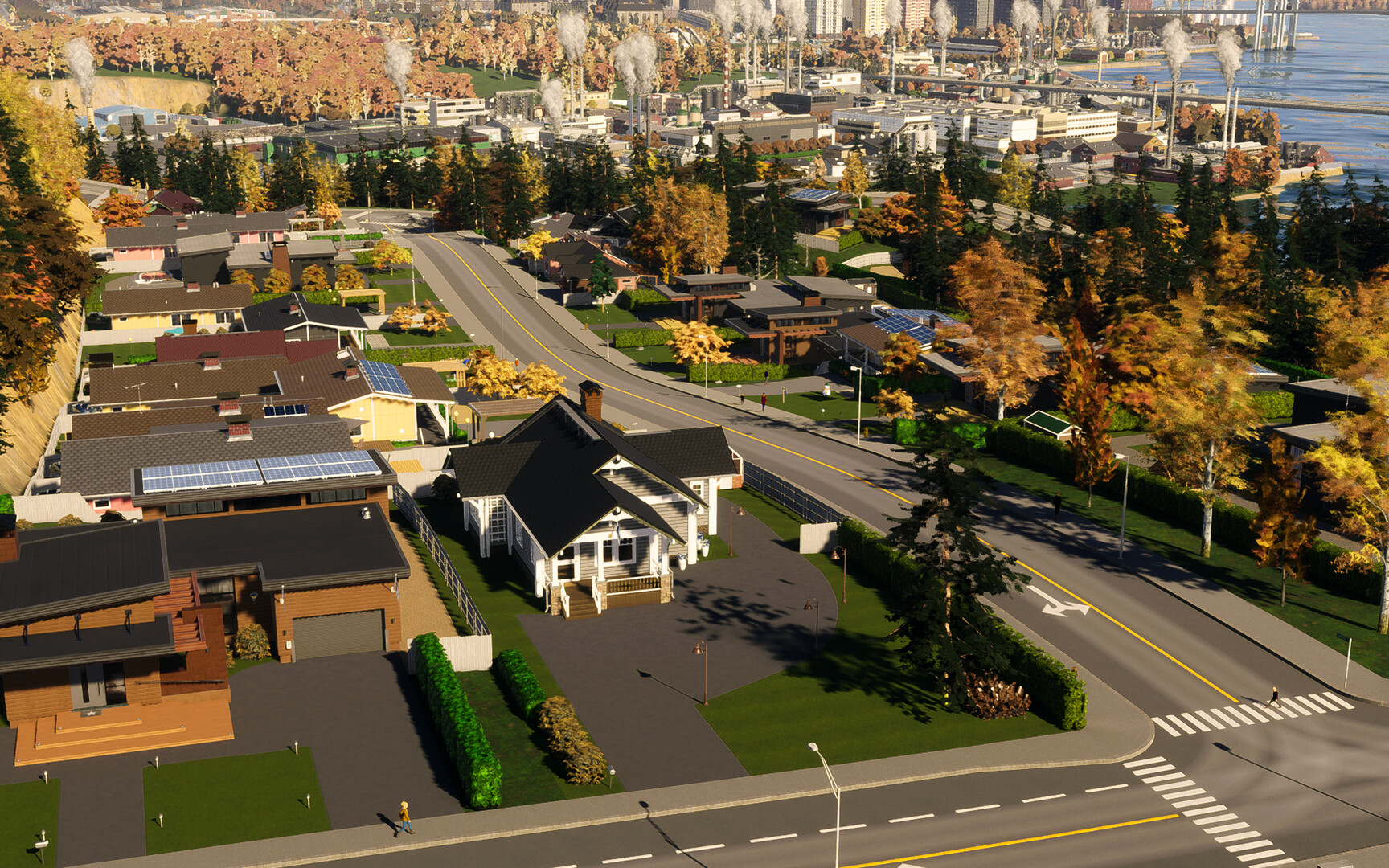 城市：天际线2/Cities: Skylines II-4