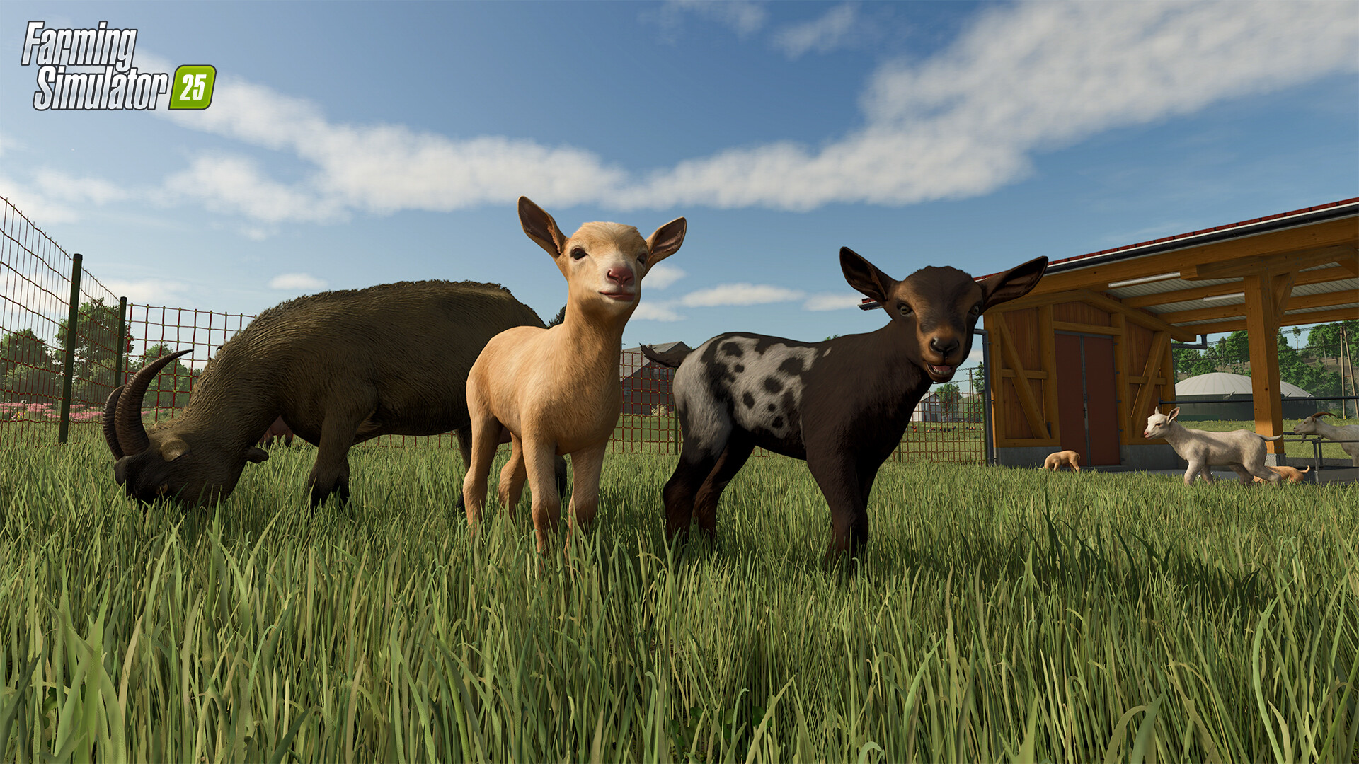 模拟农场25/Farming Simulator 25-4