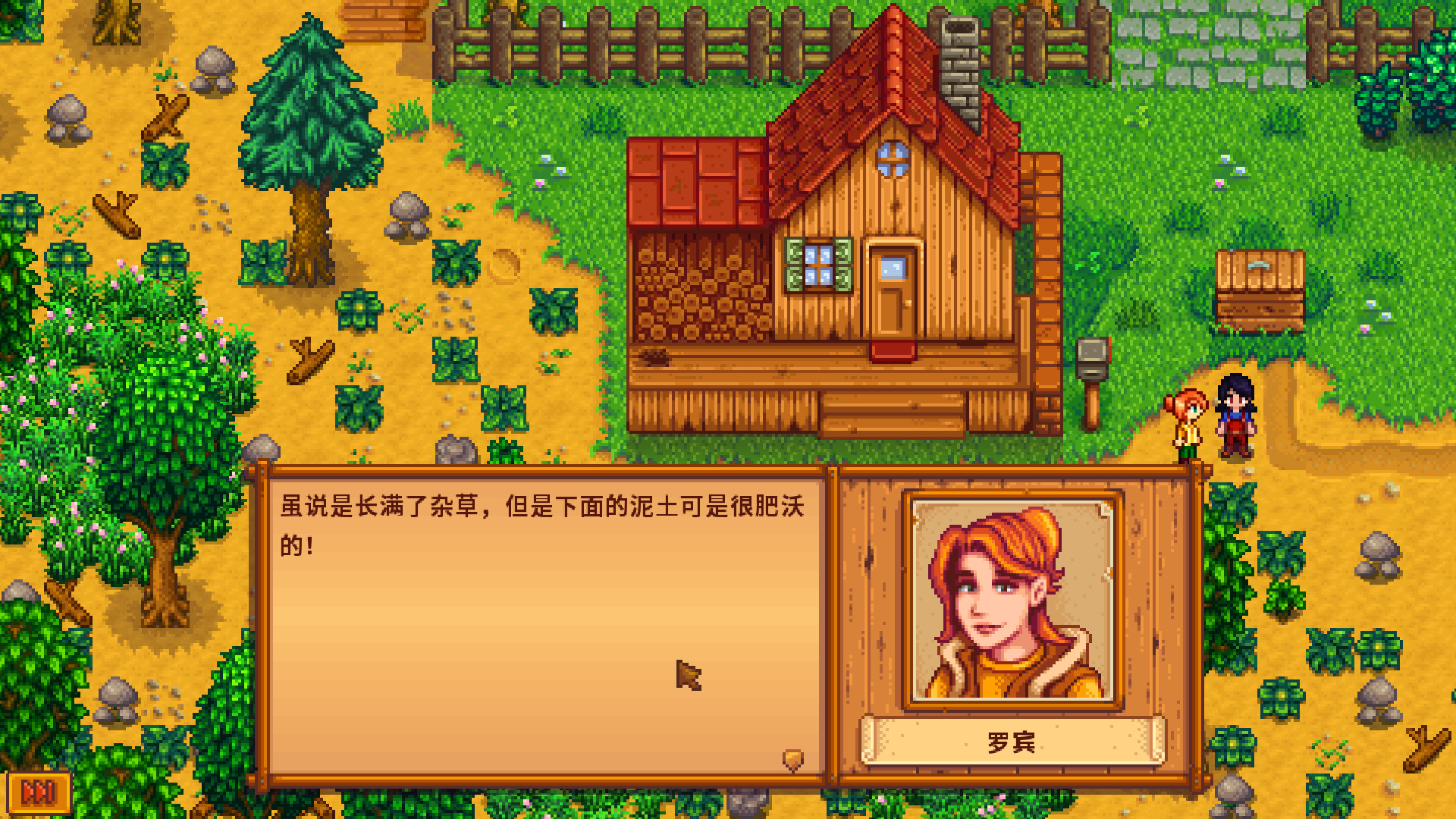 星露谷物语/Stardew Valley/支持网络联机-5