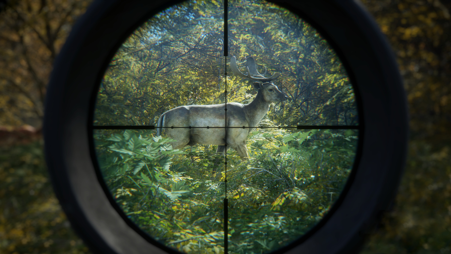 猎人：荒野的召唤/theHunter: Call of the Wild/支持网络联机-3