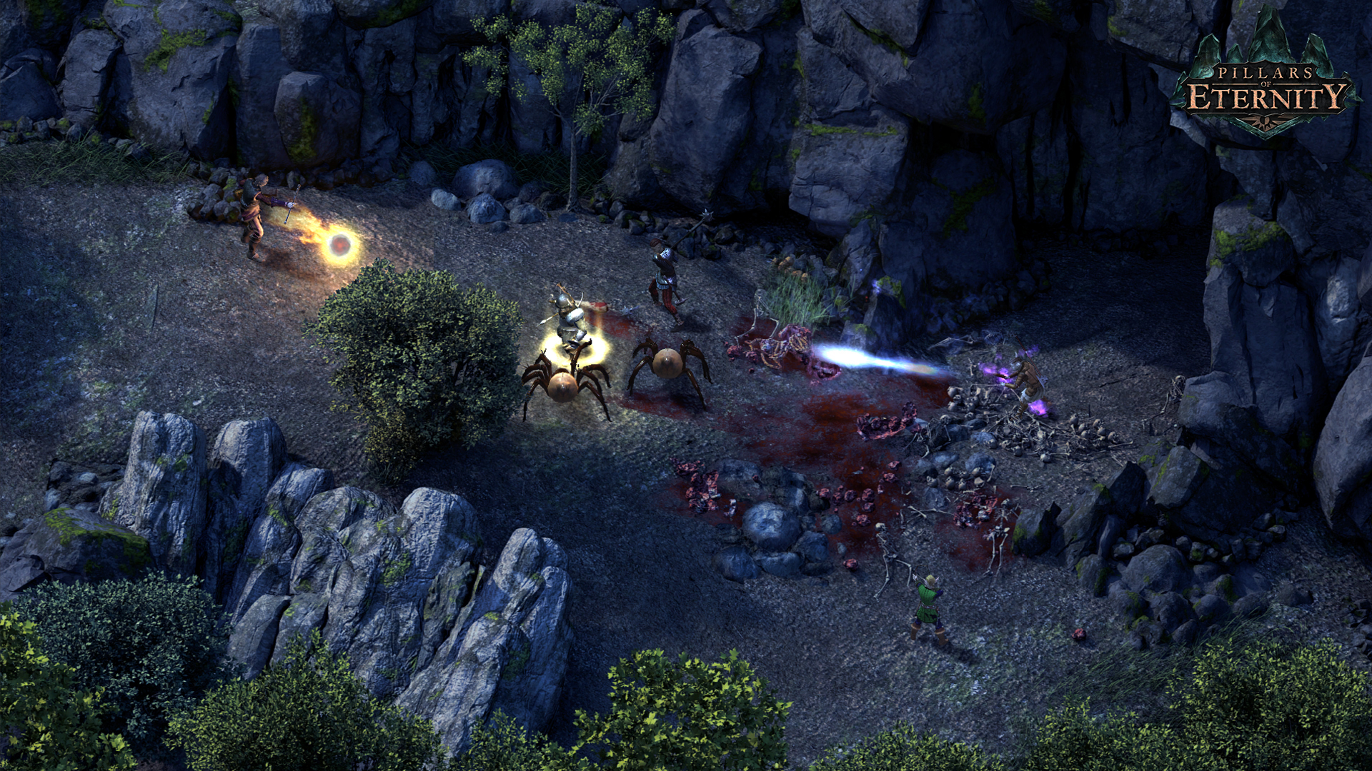 永恒之柱/Pillars of Eternity-4