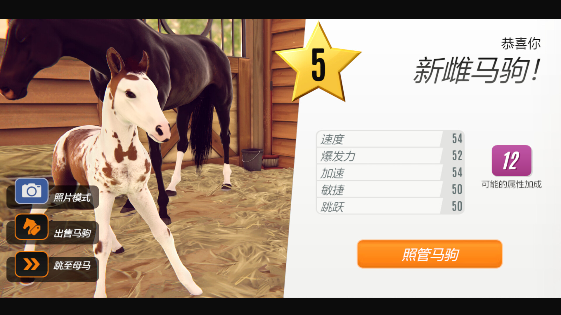 家族传奇：马匹养成竞技/Rival Stars Horse Racing: Desktop Edition-5