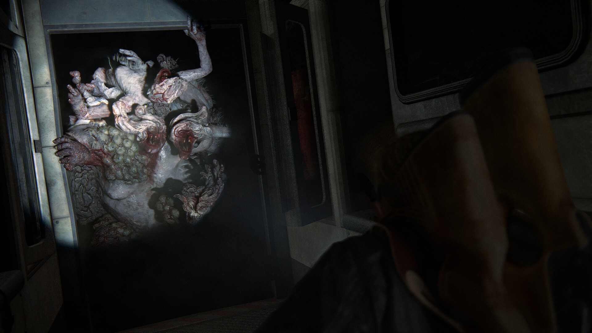 最后的生还者2：重制版/美国末日2/The Last of Us Part II Remastered-6