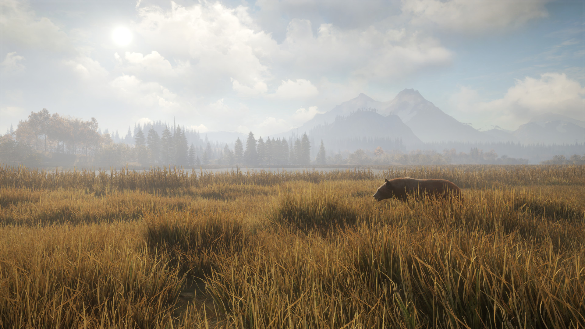 猎人：荒野的召唤/theHunter: Call of the Wild-2