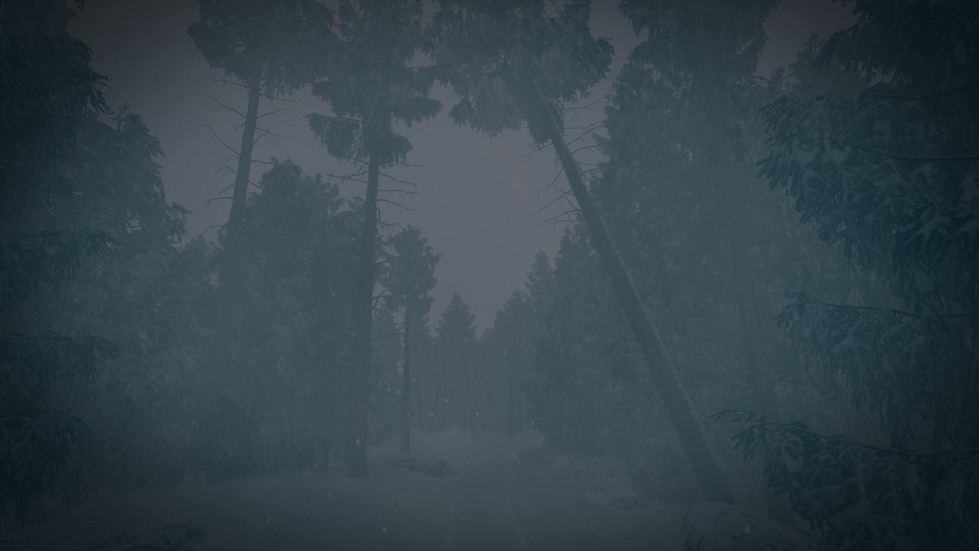 最后的滑雪之旅/The Last Ski Trip