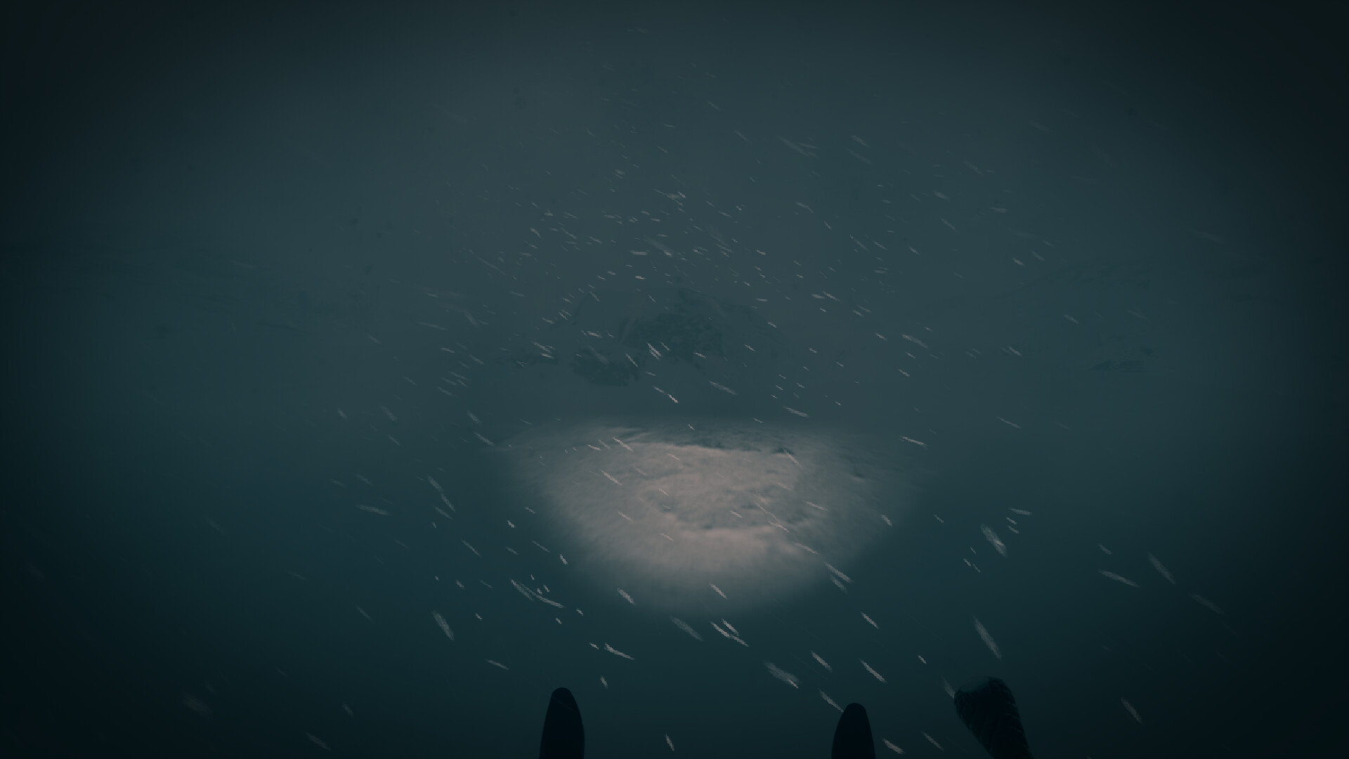 最后的滑雪之旅/The Last Ski Trip-4