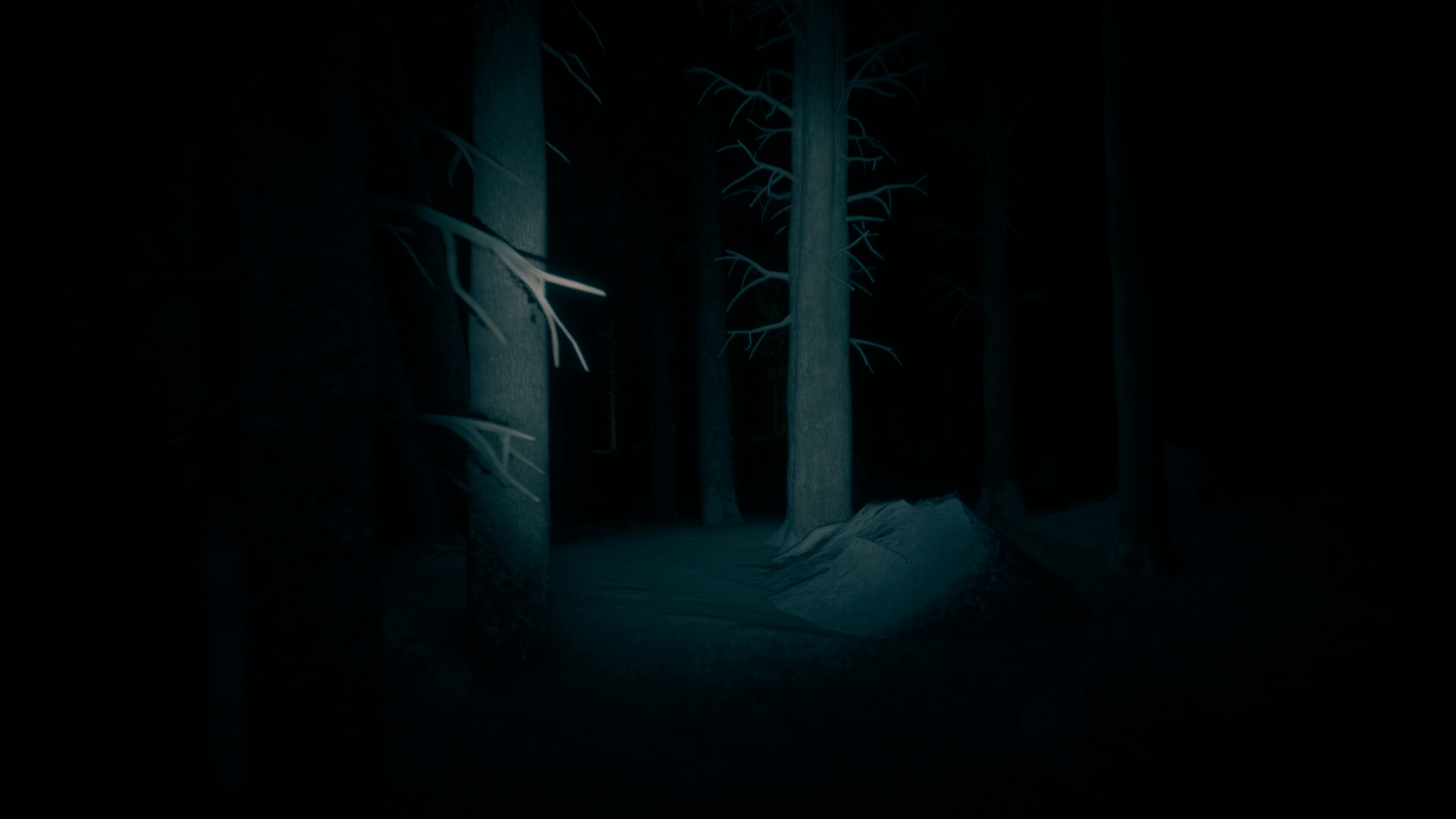 最后的滑雪之旅/The Last Ski Trip-3