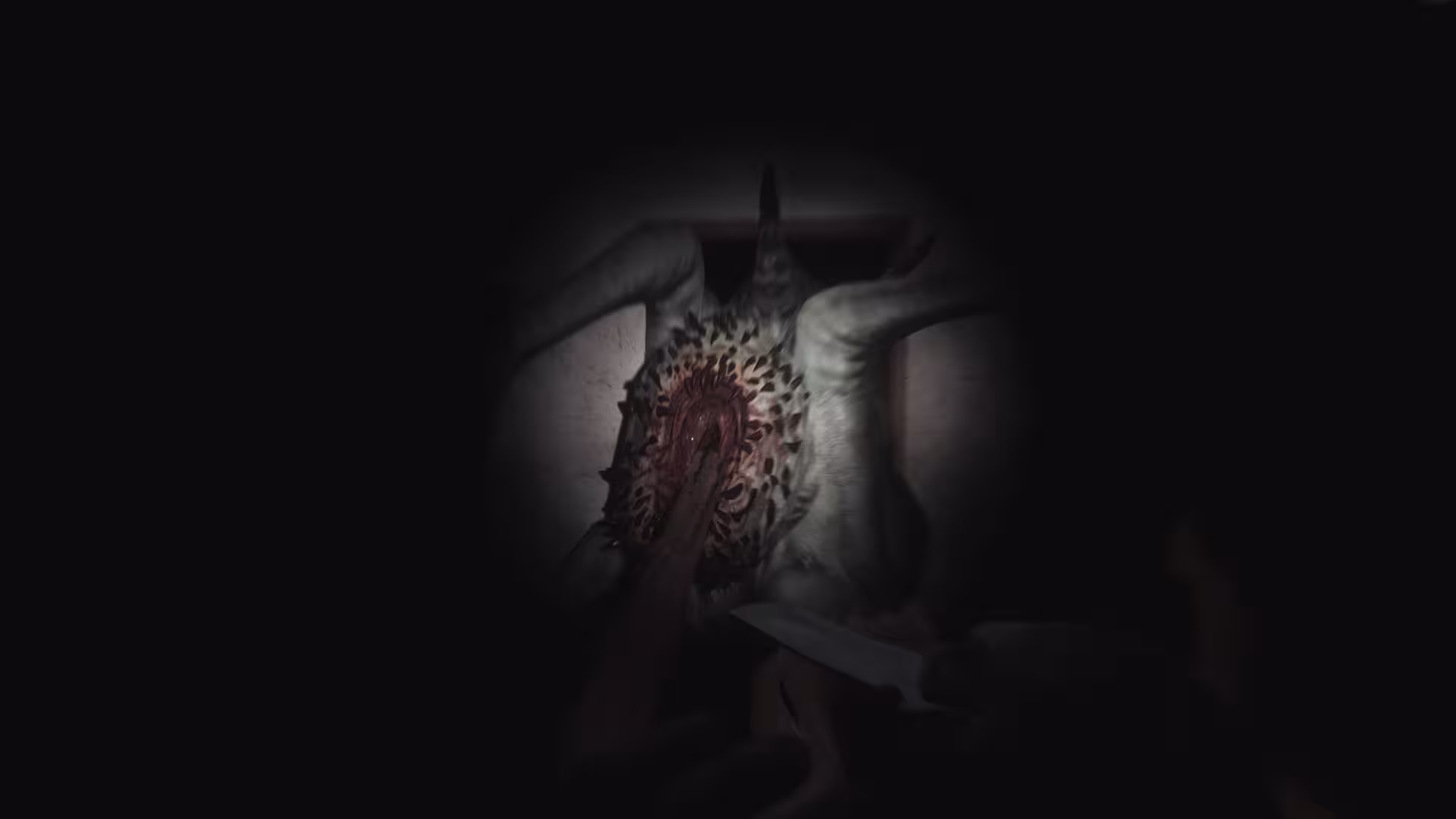 SCP:大流行病/SCP: 5K/支持网络联机-2 SCP:大流行病/SCP: 5K/支持网络联机-2