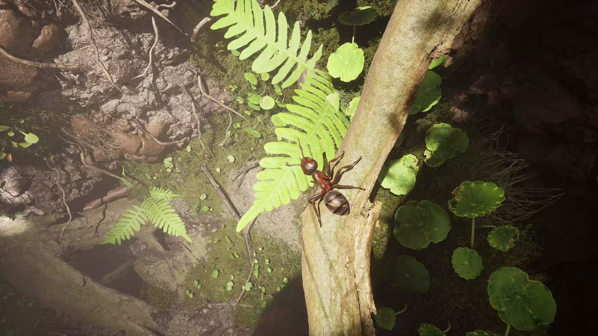 蚂蚁帝国/Empire of the Ants/支持网络联机-6