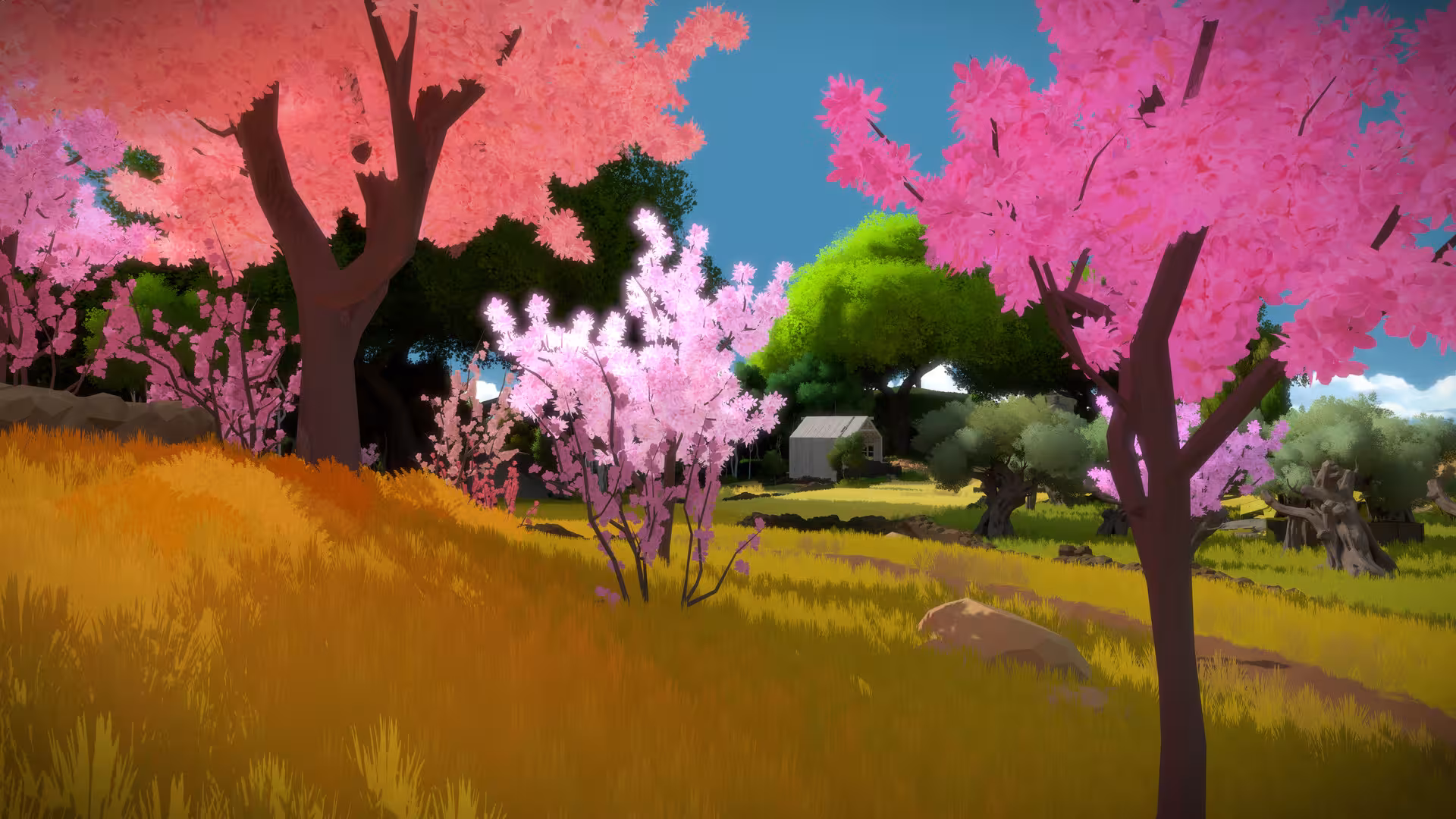 目击者/见证者/The Witness-4