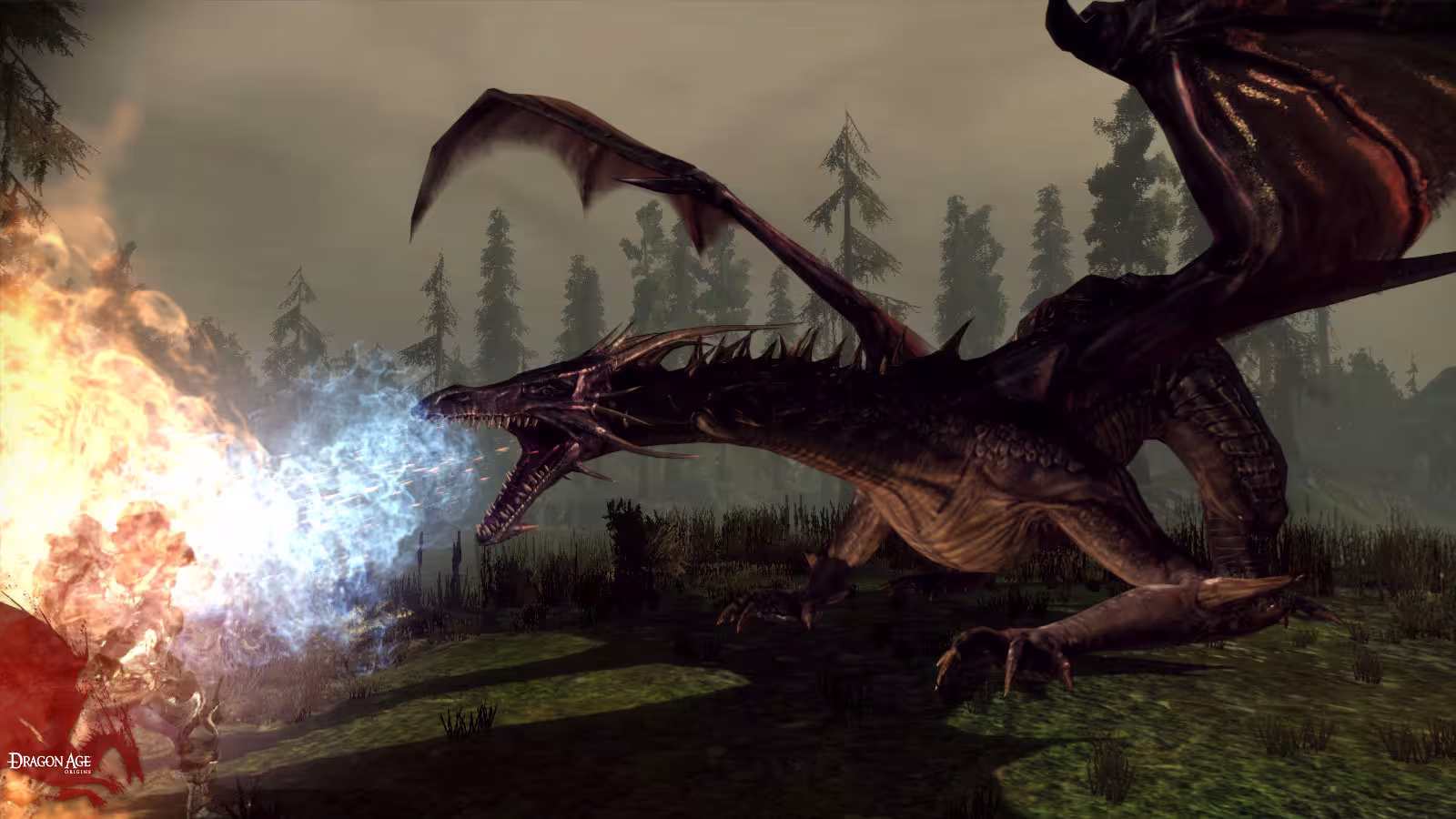 龙腾世纪：起源/Dragon Age：Origins-3
