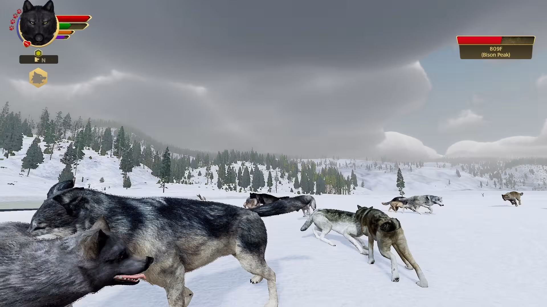 野狼谜踪：周年纪念版/WolfQuest: Anniversary Edition-3