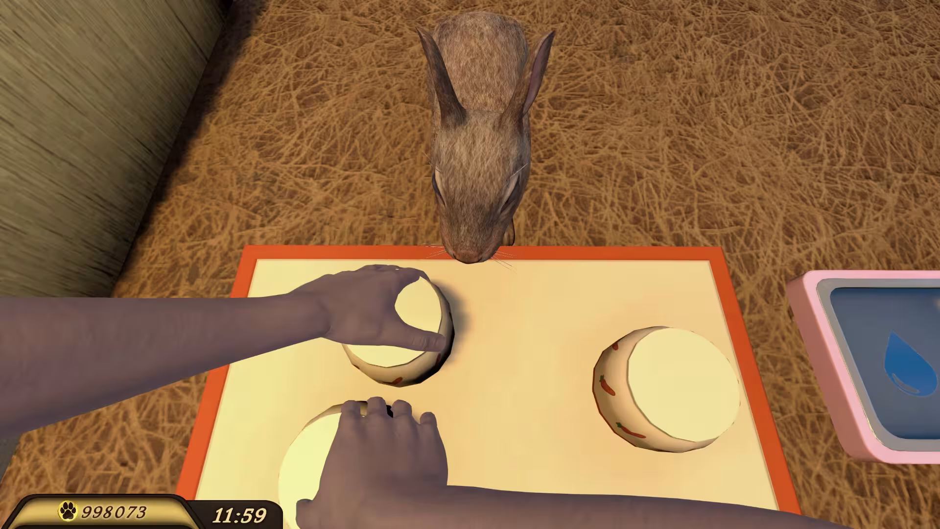 宠物旅馆/Pets Hotel-3 宠物旅馆/Pets Hotel-3