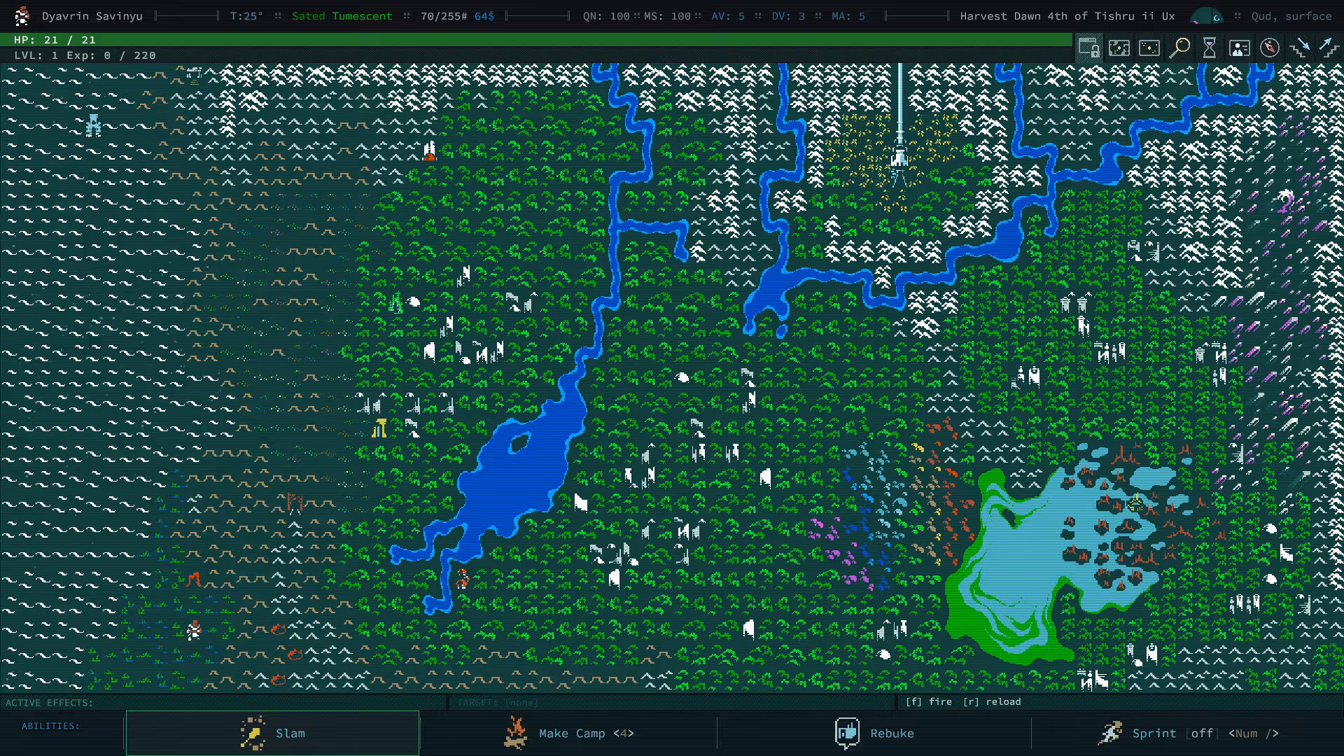 卡德洞窟/Caves of Qud