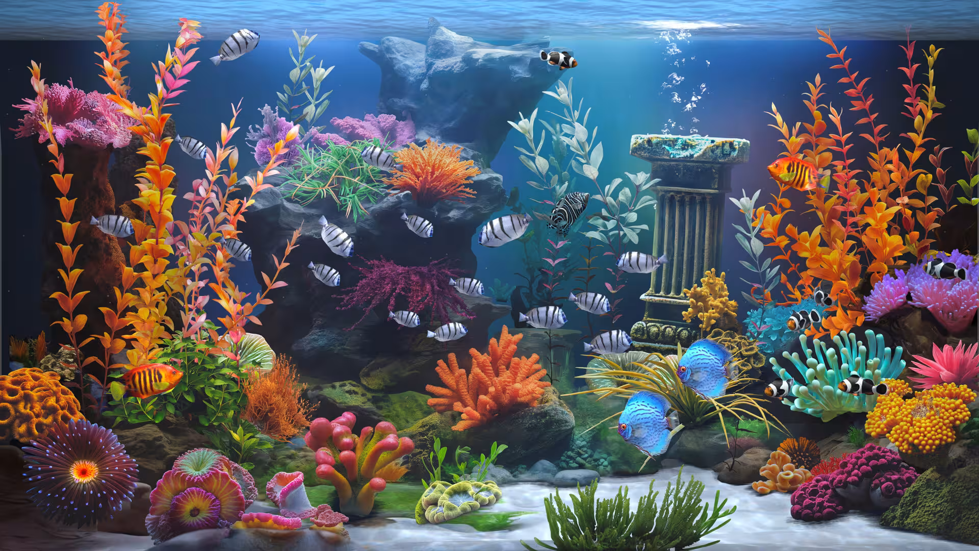 禅意水族馆/Zen Aquarium-5 禅意水族馆/Zen Aquarium-5