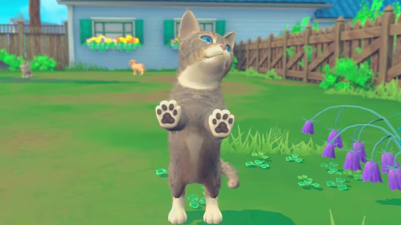 我的世界：小狗和小猫/My Universe - Puppies & Kittens-6
