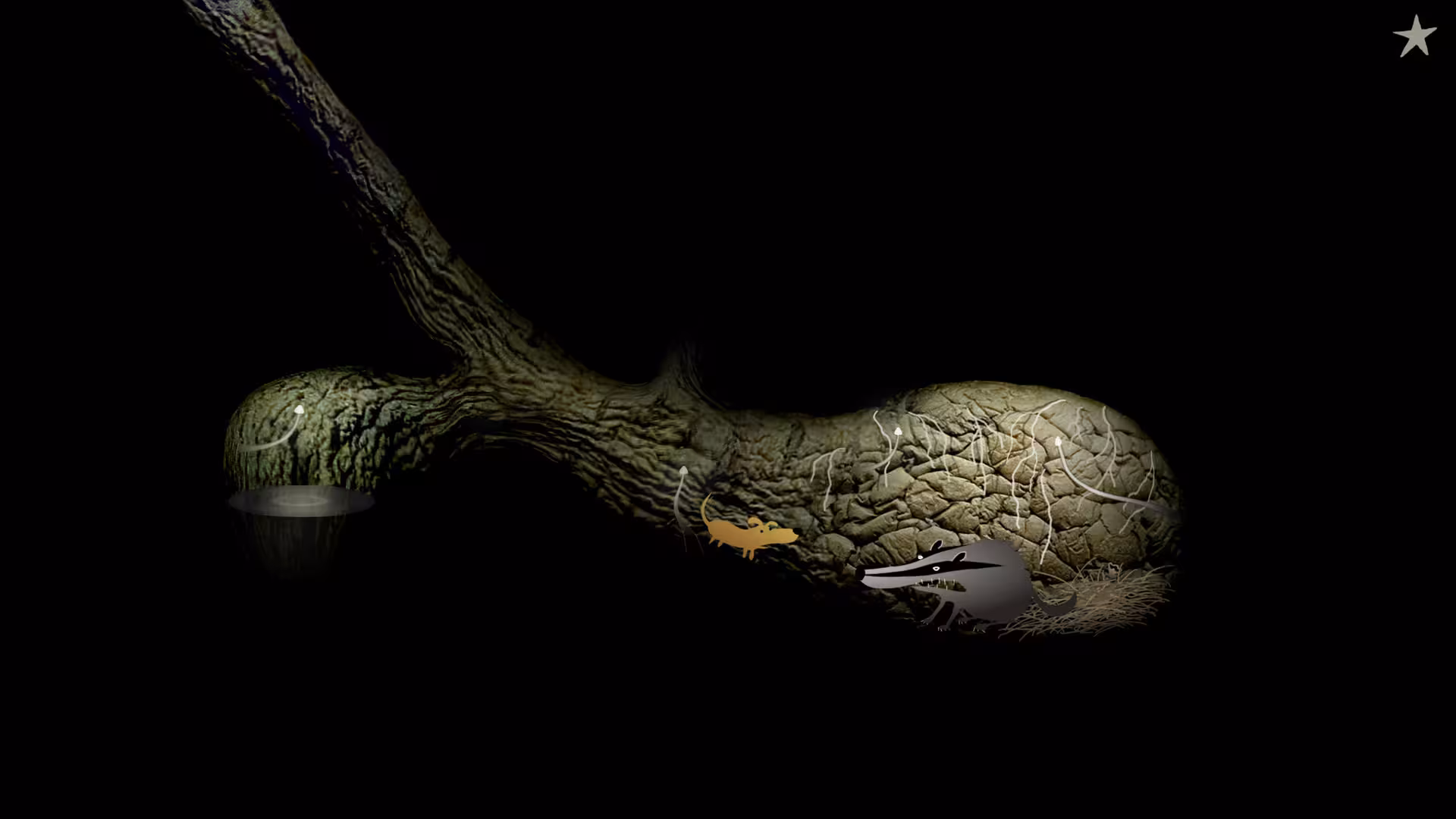 银河历险记2/Samorost 2-2 银河历险记2/Samorost 2-2