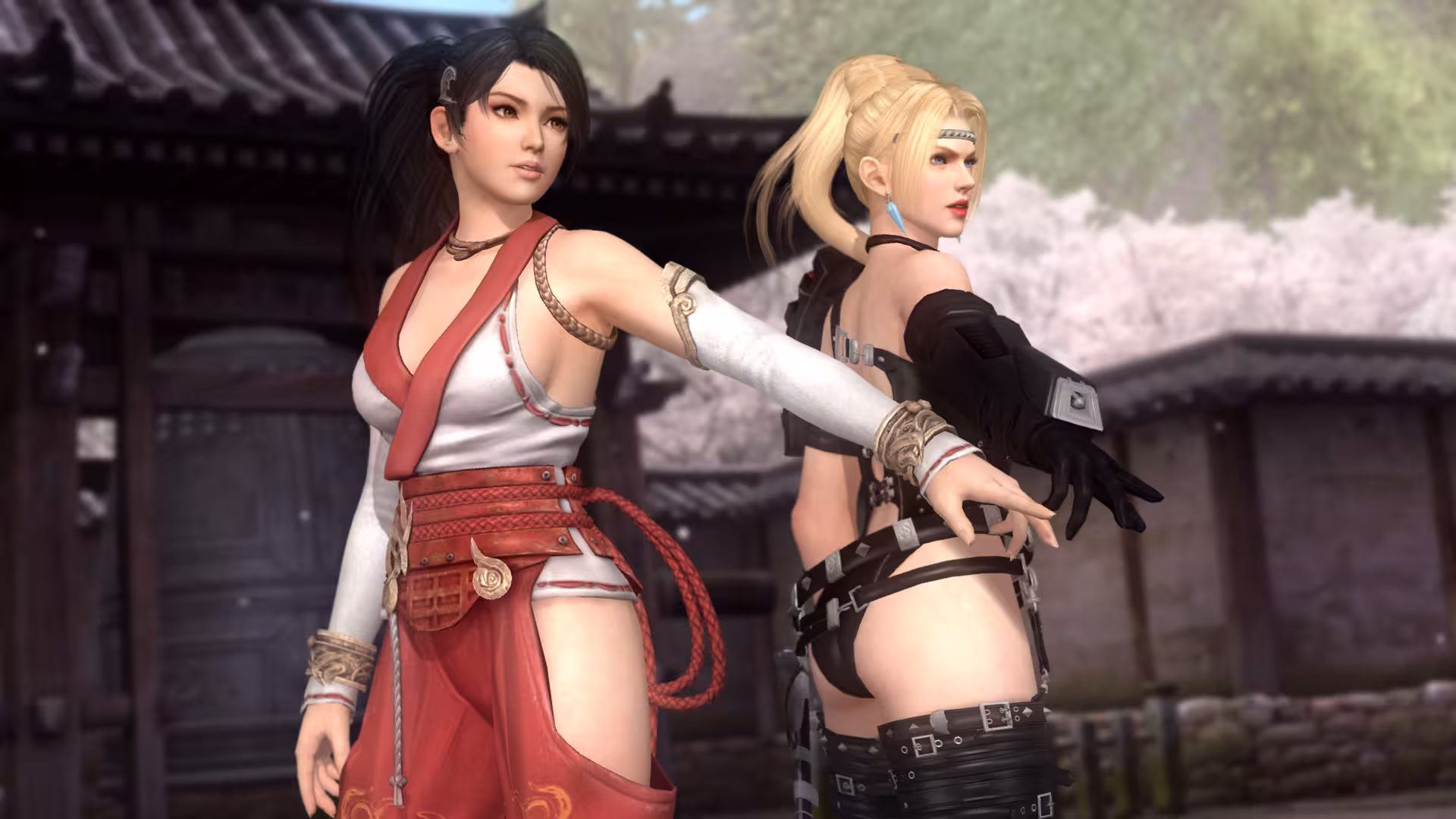 死或生5：最后一战/Dead or Alive 5：Last Round-4
