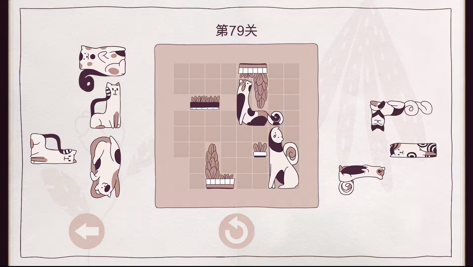 井然有猫/Cats Organized Neatly-3
