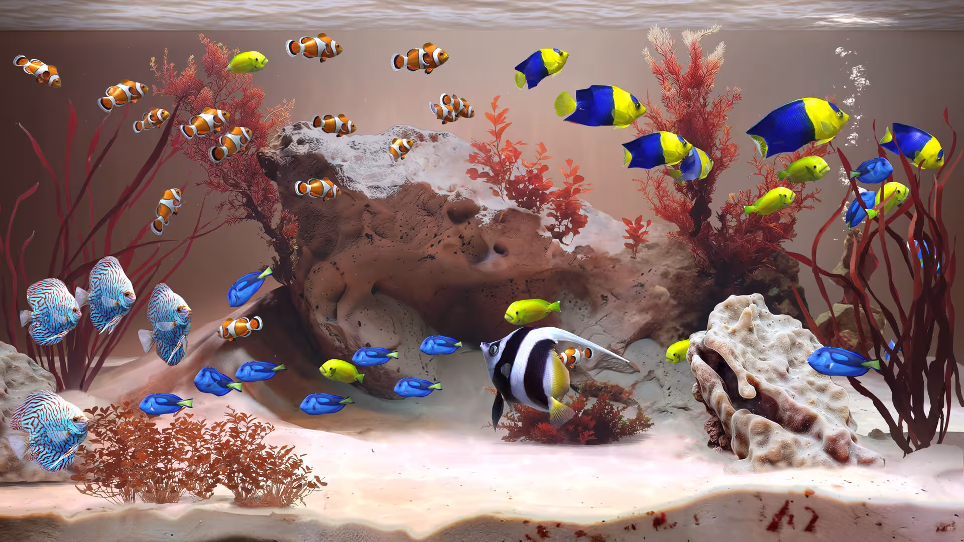 禅意水族馆/Zen Aquarium-2 禅意水族馆/Zen Aquarium-2