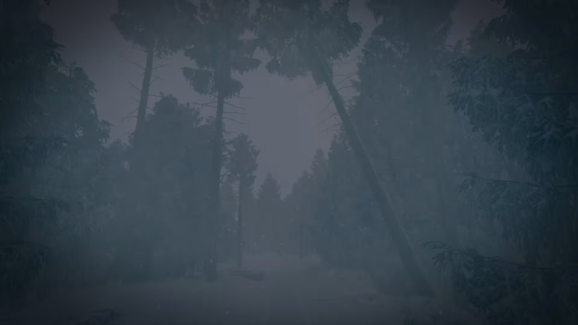 最后的滑雪之旅/The Last Ski Trip-1 最后的滑雪之旅/The Last Ski Trip-1