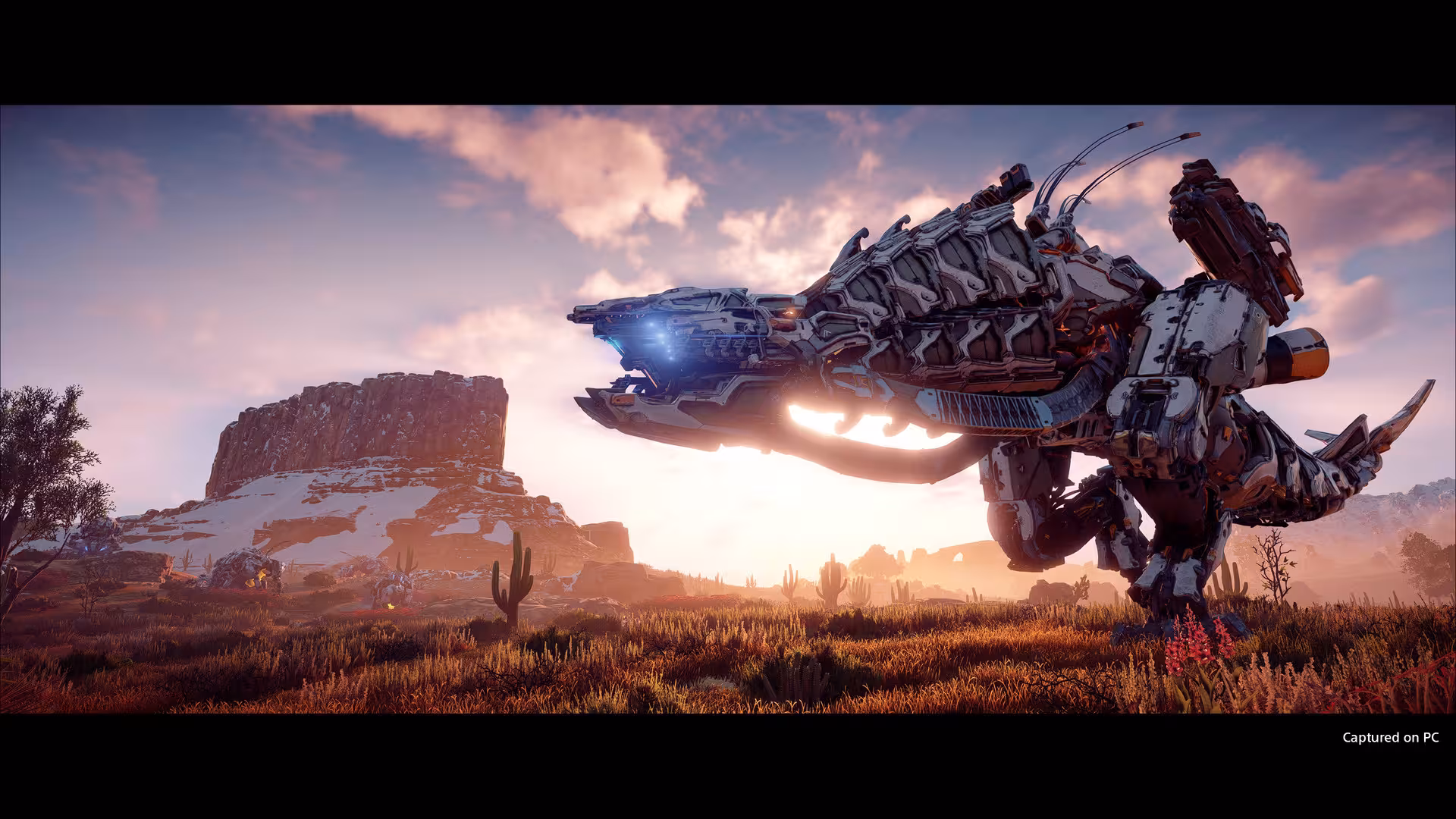地平线：零之曙光完全版/Horizon Zero Dawn Complete Edition-3