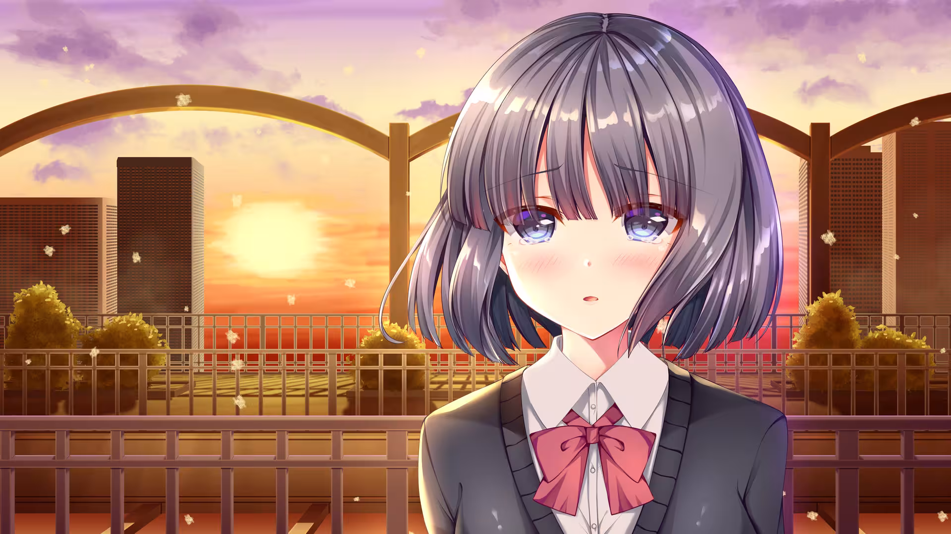 白色之翼/White Wings-2