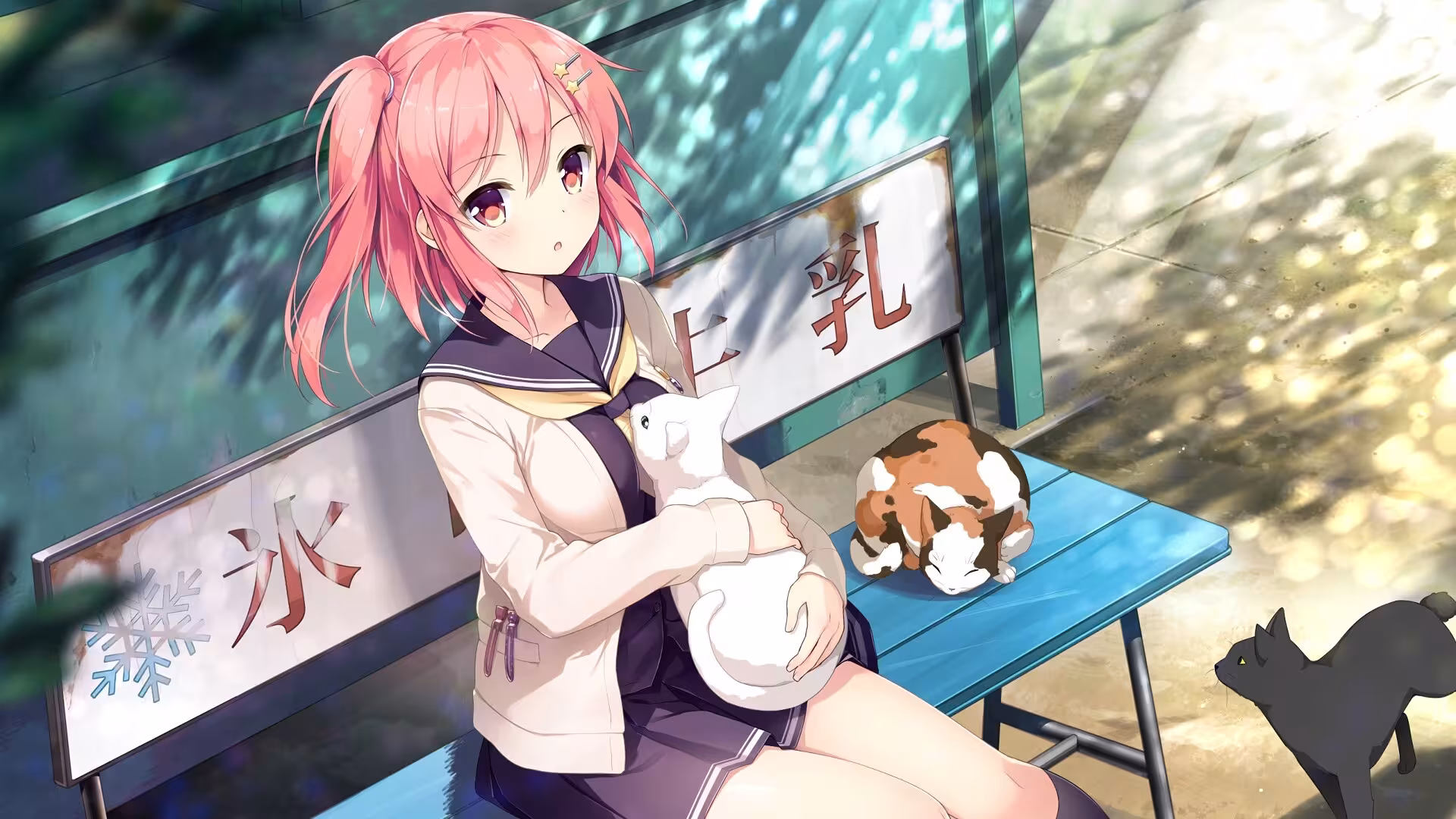 想要传达给你的爱恋/Koi x Shin Ai Kanojo-6 想要传达给你的爱恋/Koi x Shin Ai Kanojo-6