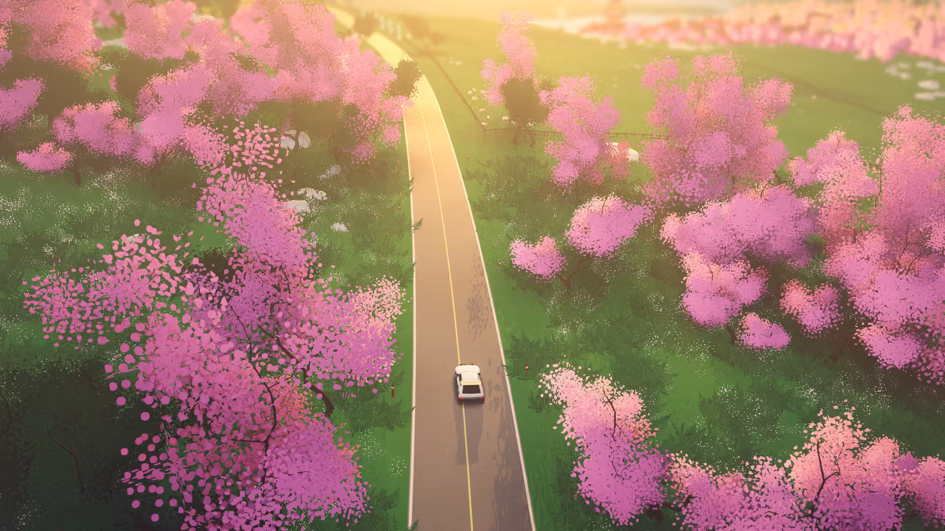 拉力赛艺术/art of rally-5 拉力赛艺术/art of rally-5