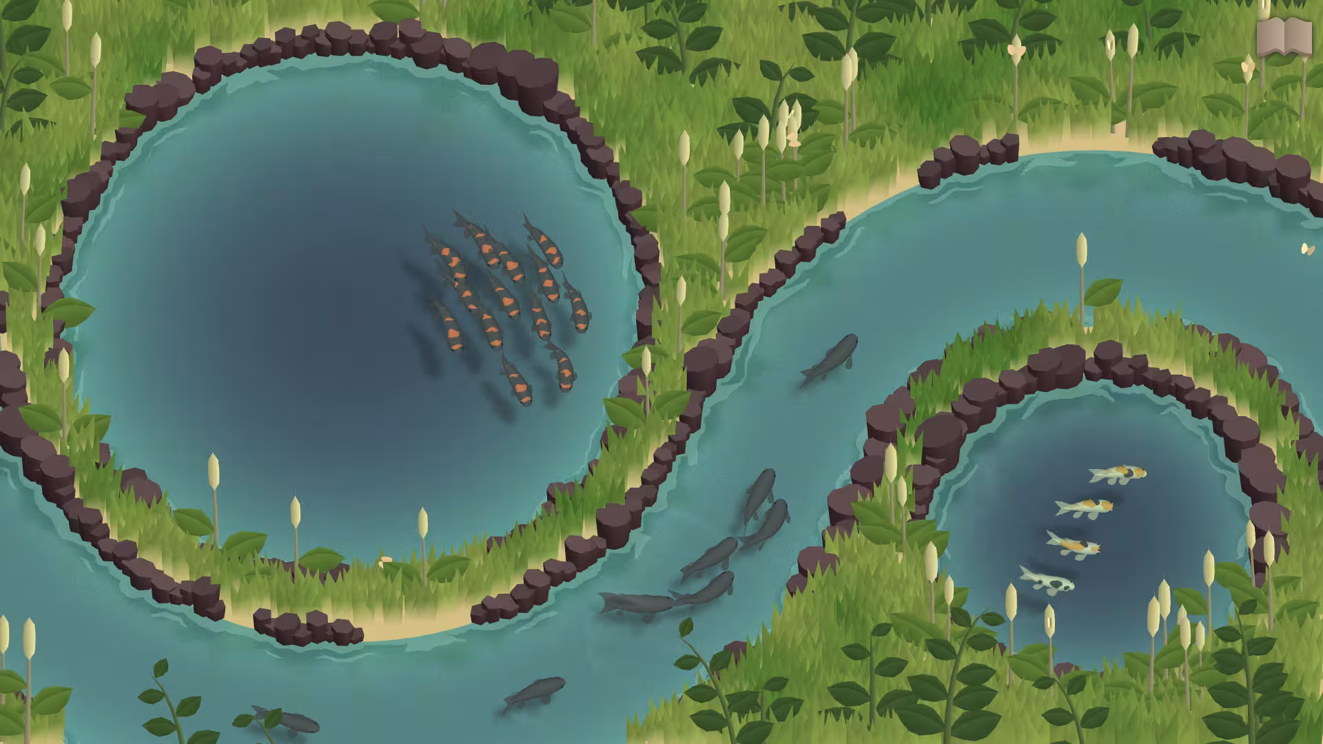 锦鲤养殖场/Koi Farm-3 锦鲤养殖场/Koi Farm-3
