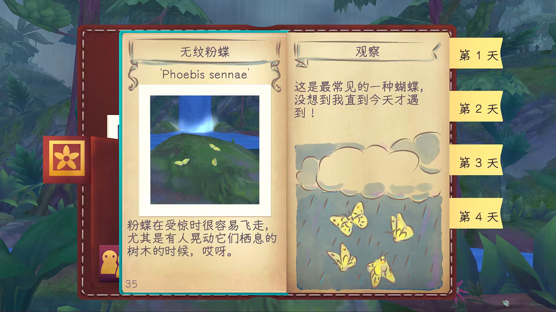 彩翼：雨林梦蝶/Flutter Away-2