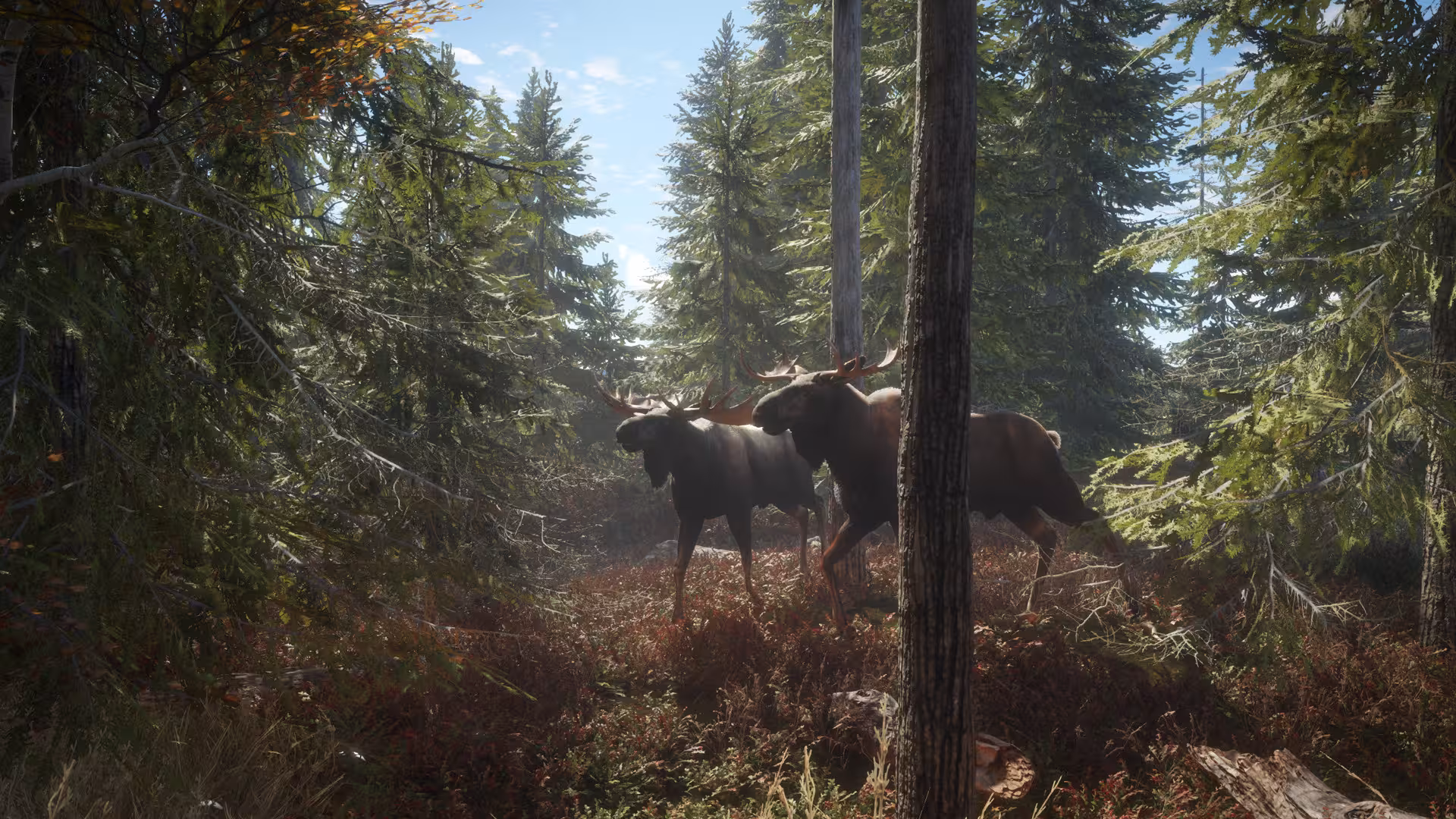 猎人：荒野的召唤/theHunter: Call of the Wild