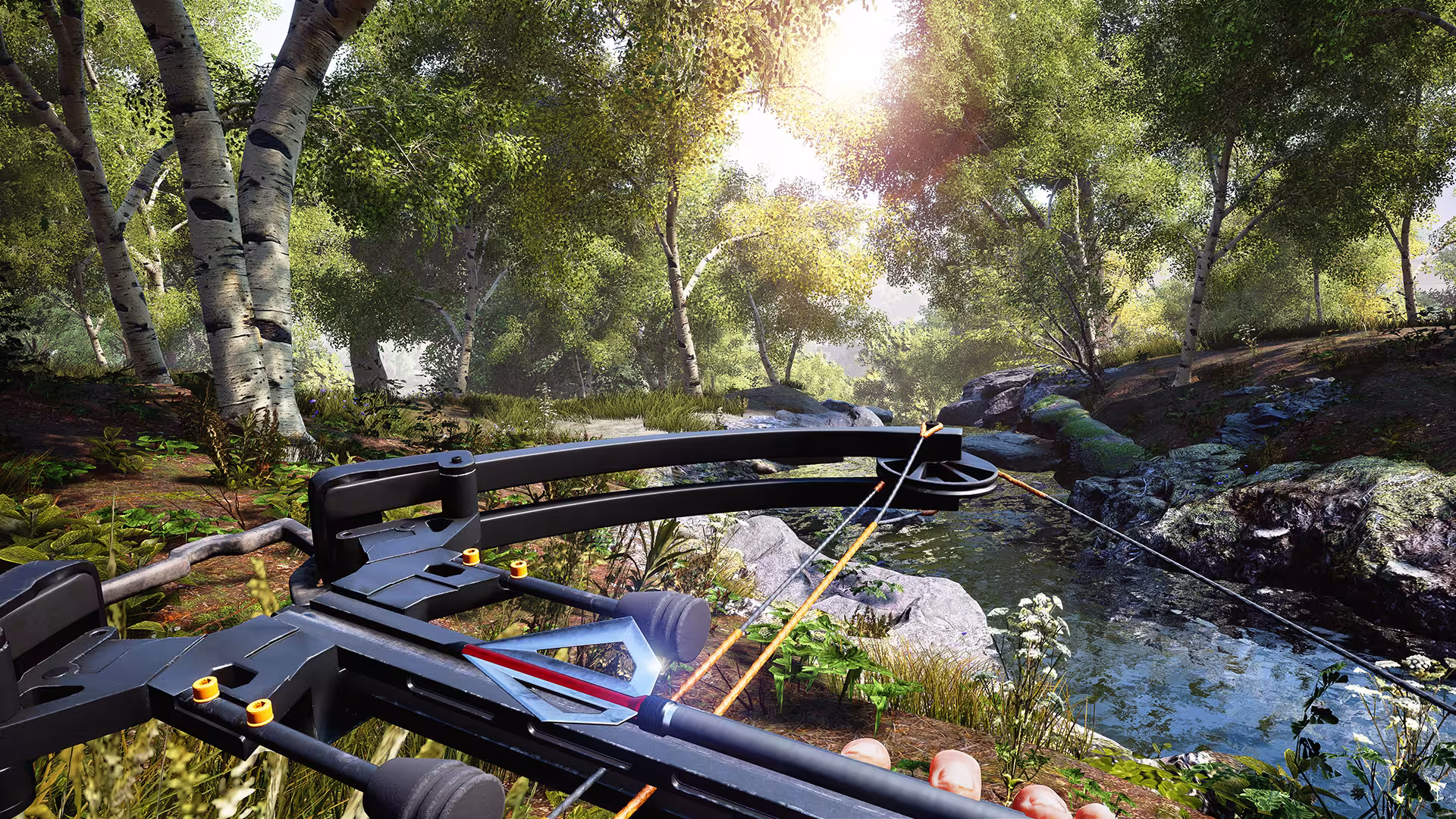 模拟狩猎/Hunting Simulator-2