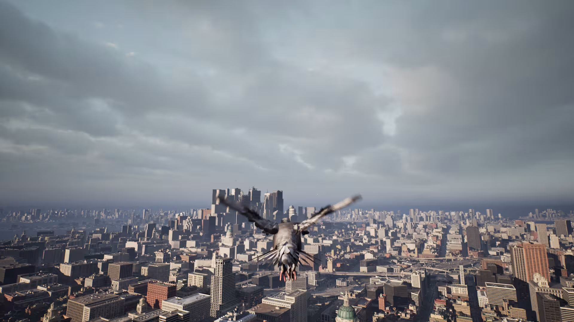鸽子飞行模拟器/Pigeon Flight Simulator-4 鸽子飞行模拟器/Pigeon Flight Simulator-4