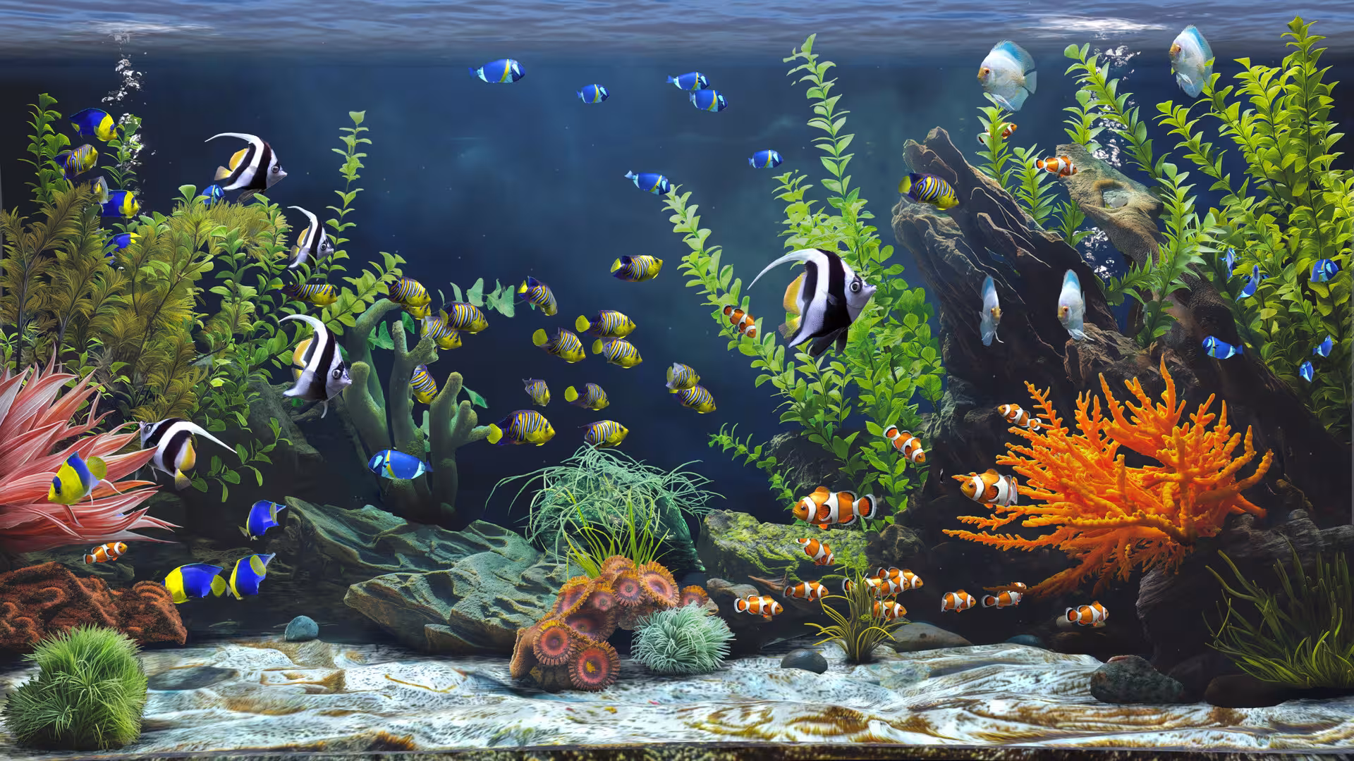 禅意水族馆/Zen Aquarium-3 禅意水族馆/Zen Aquarium-3