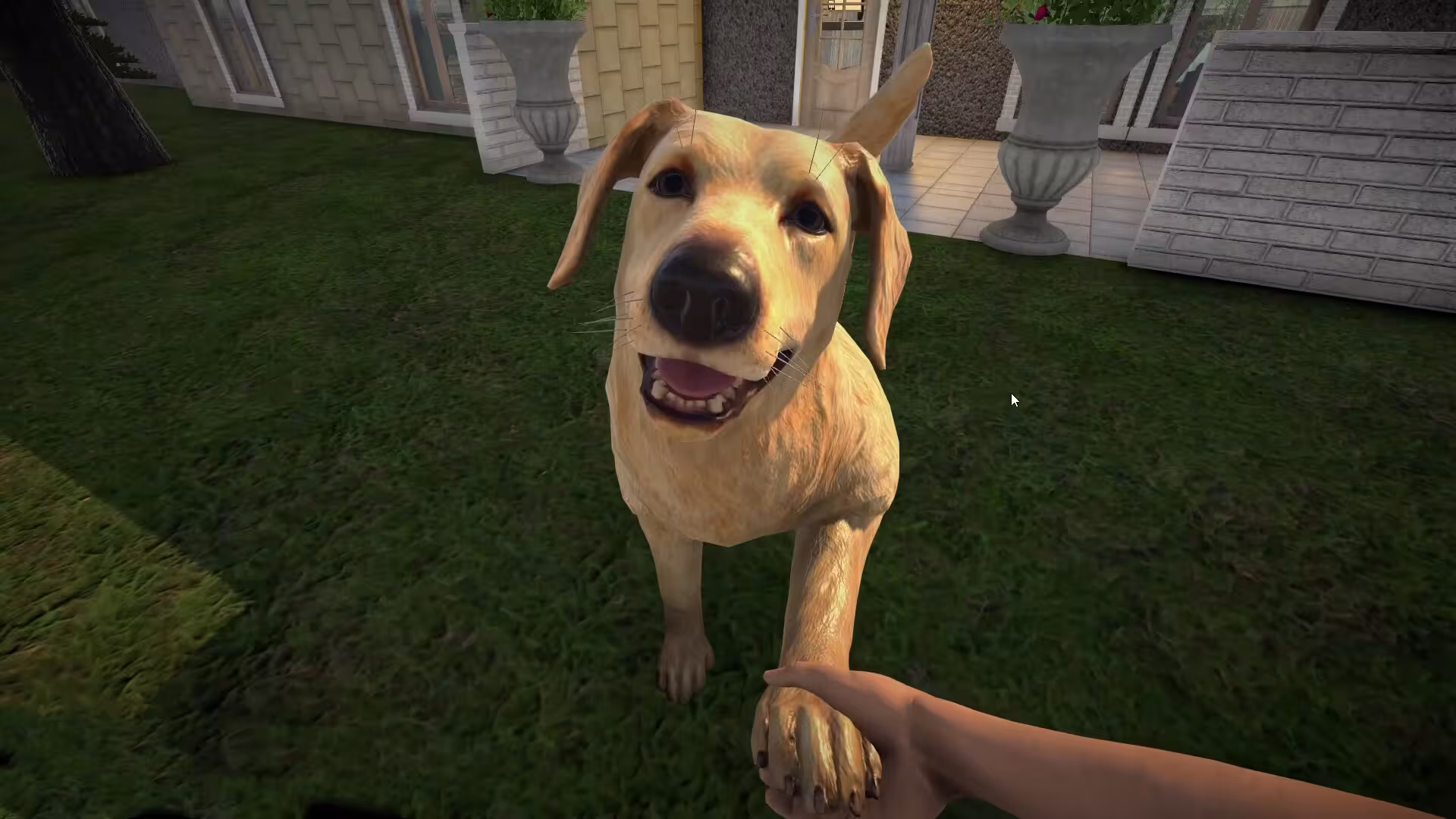 宠物旅馆/Pets Hotel-1 宠物旅馆/Pets Hotel-1
