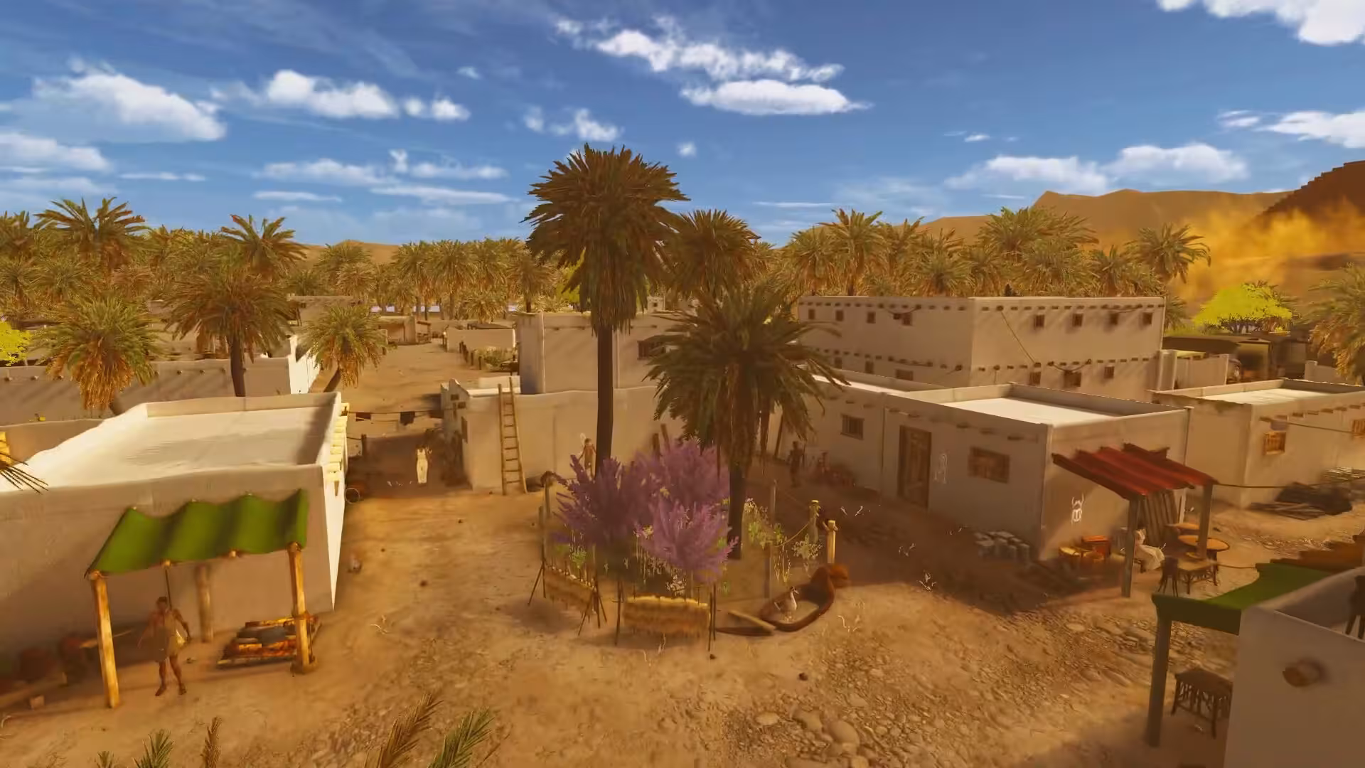 埃及前沿/Egypt Frontiers-5